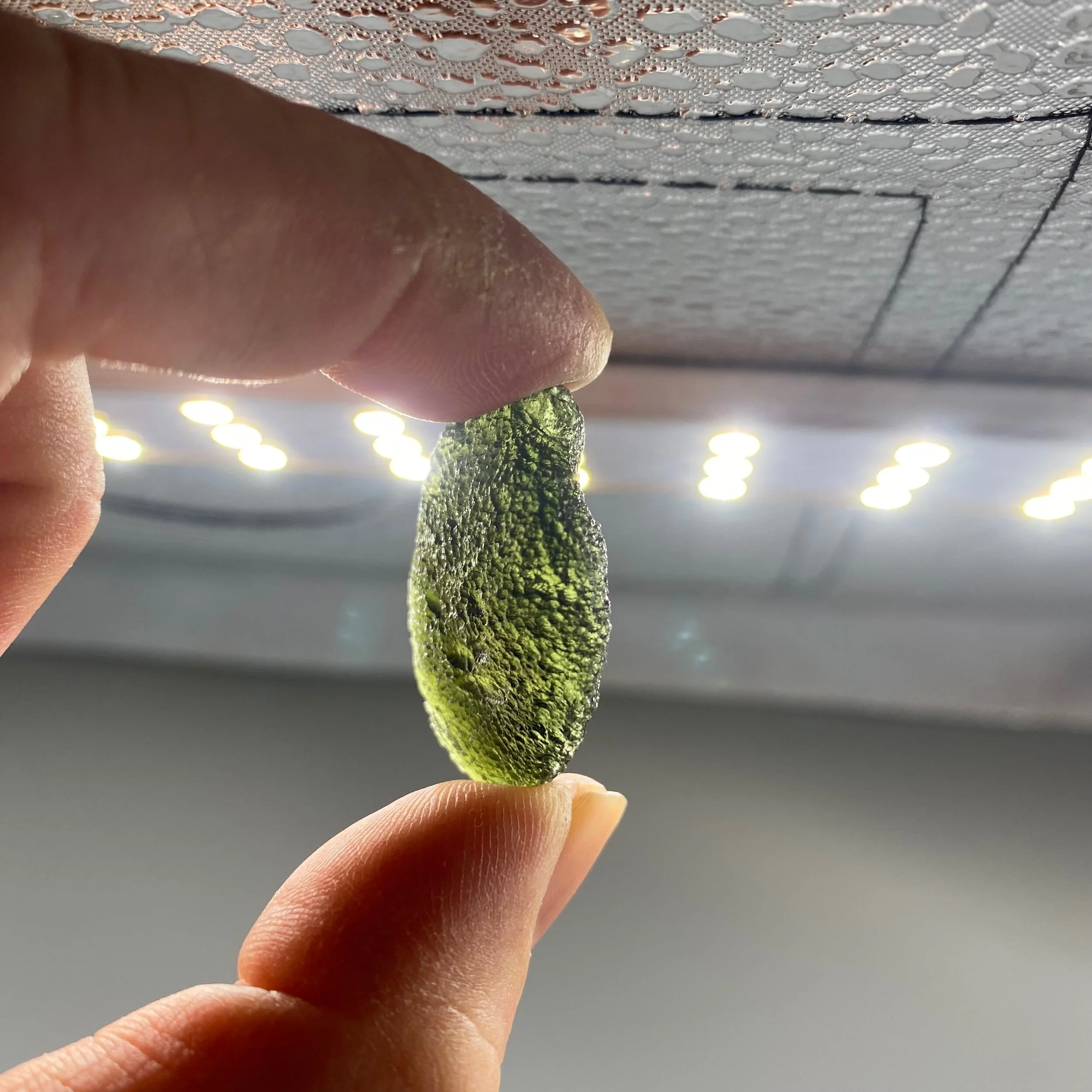 F1168A9C-A177-4D7F-A4A4-15ED6125E64C