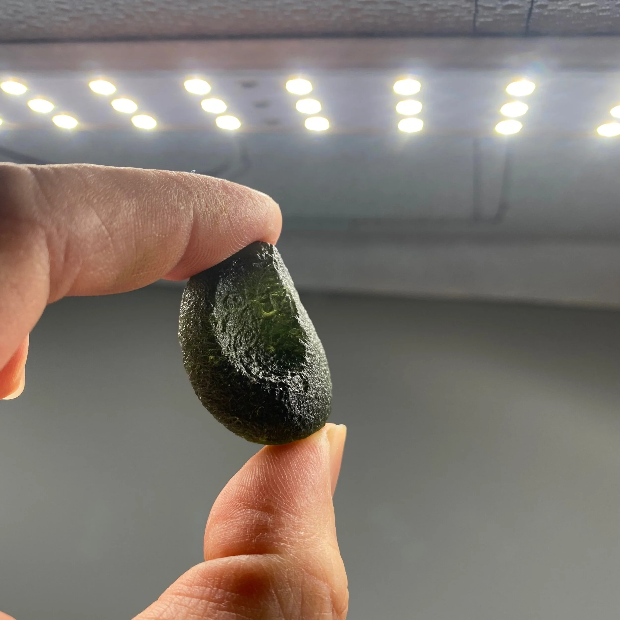 3197B38A-DDC7-41E1-98F7-CF6C7980AF2B