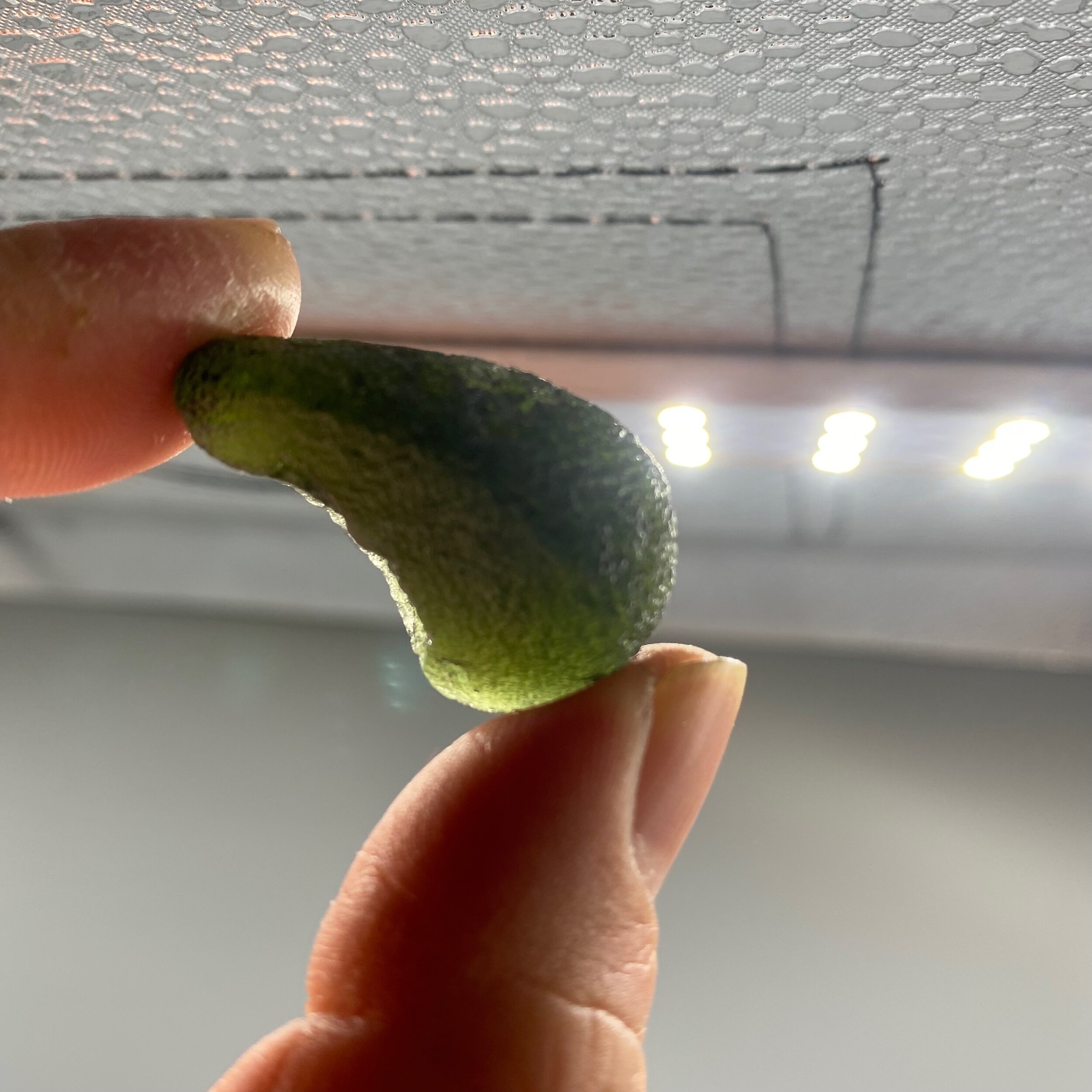 33E49A10-D047-4262-82EC-29BE2FA5728E