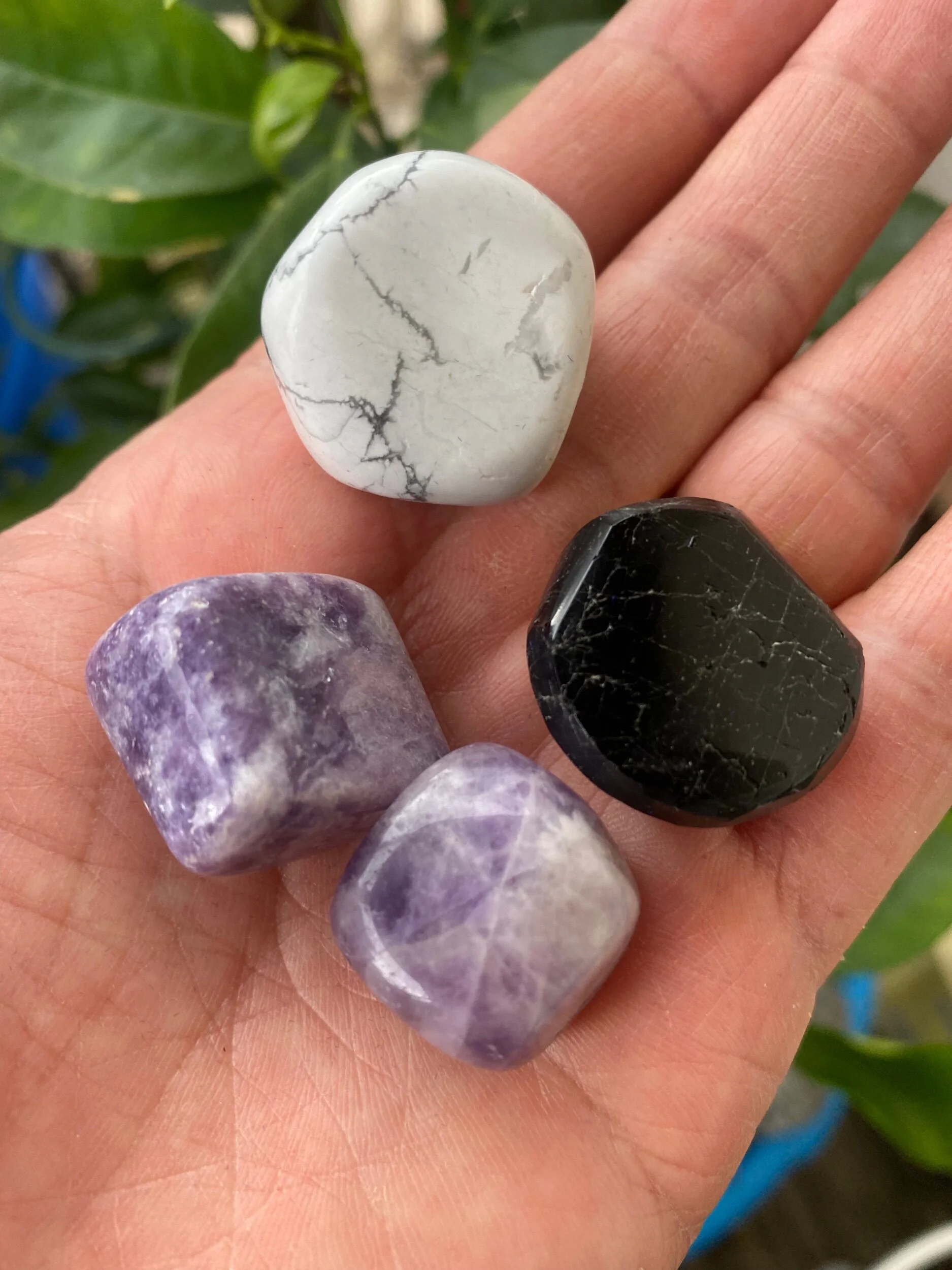 E5BBCAF4-4E51-4A91-B0B6-B0EC9CF97676