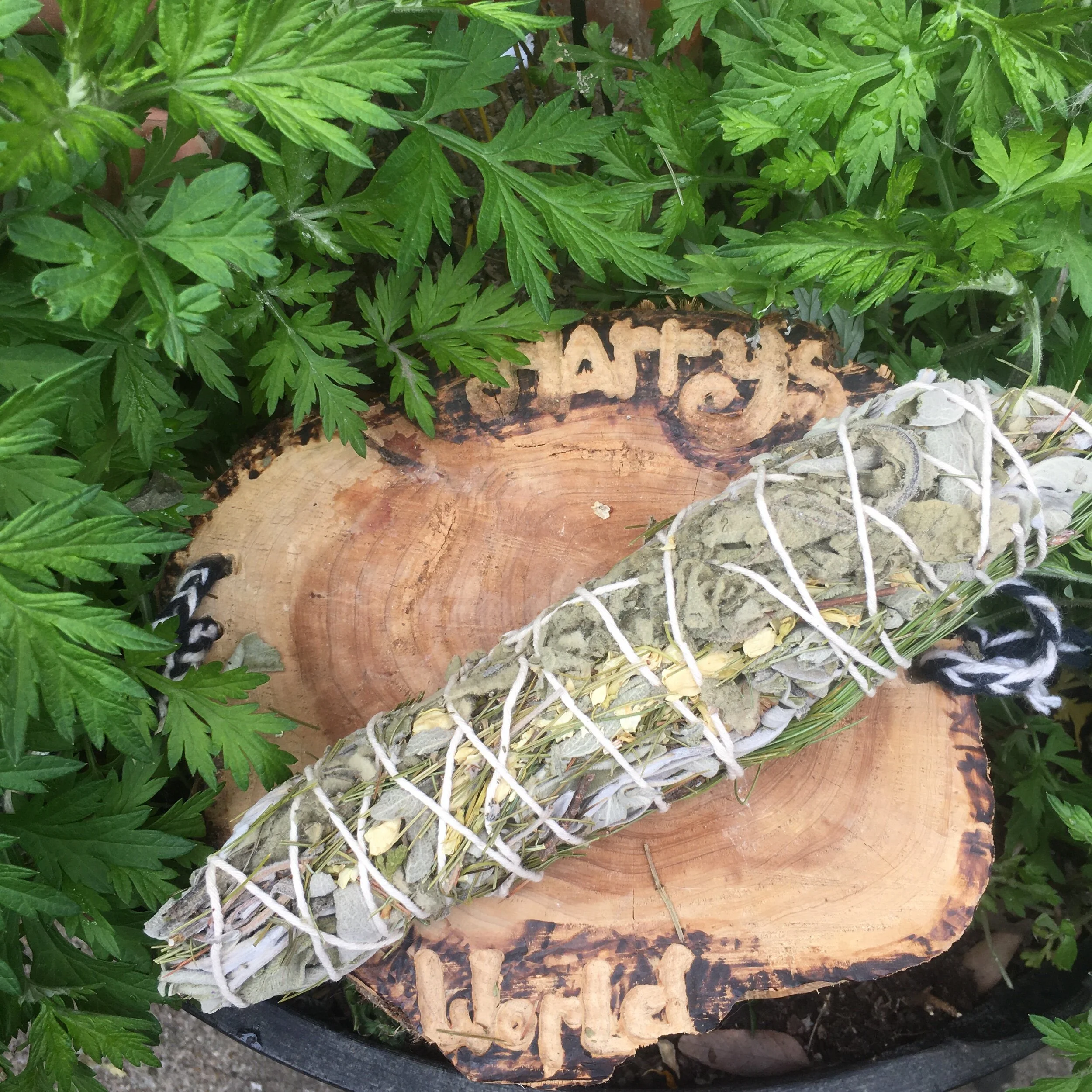 4A8781E3-B10A-4C0A-955D-039D32A32A47