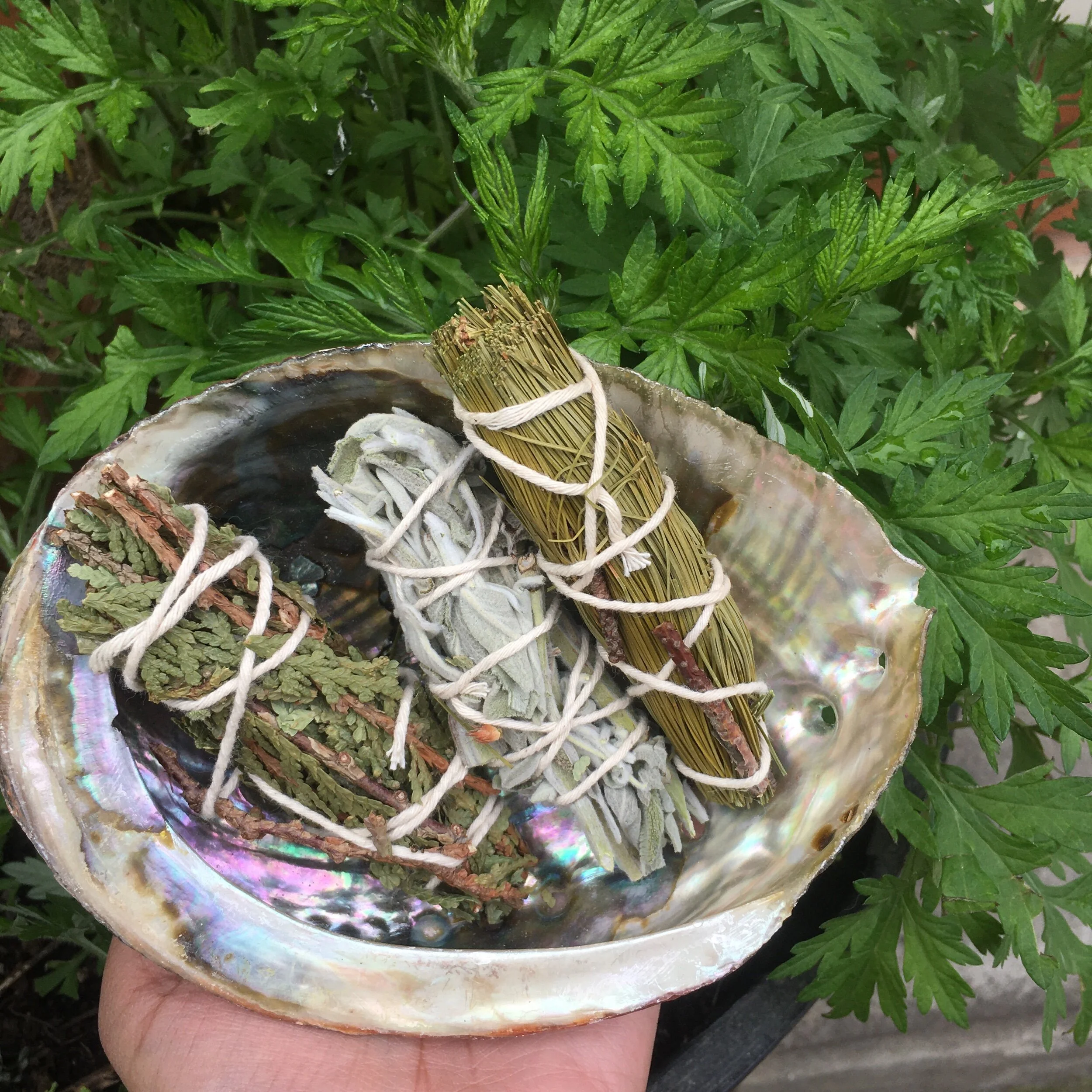 27585F4C-427E-4DEC-AA7C-2650695A43CC