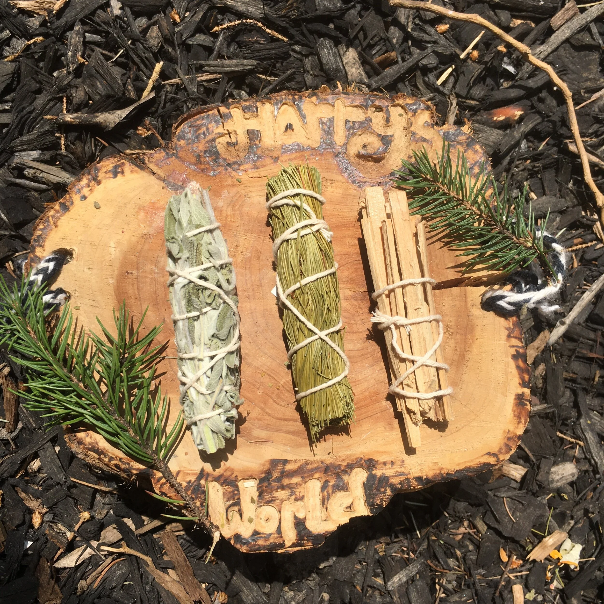 56C09F43-863B-4BBD-9287-558F012ED74C