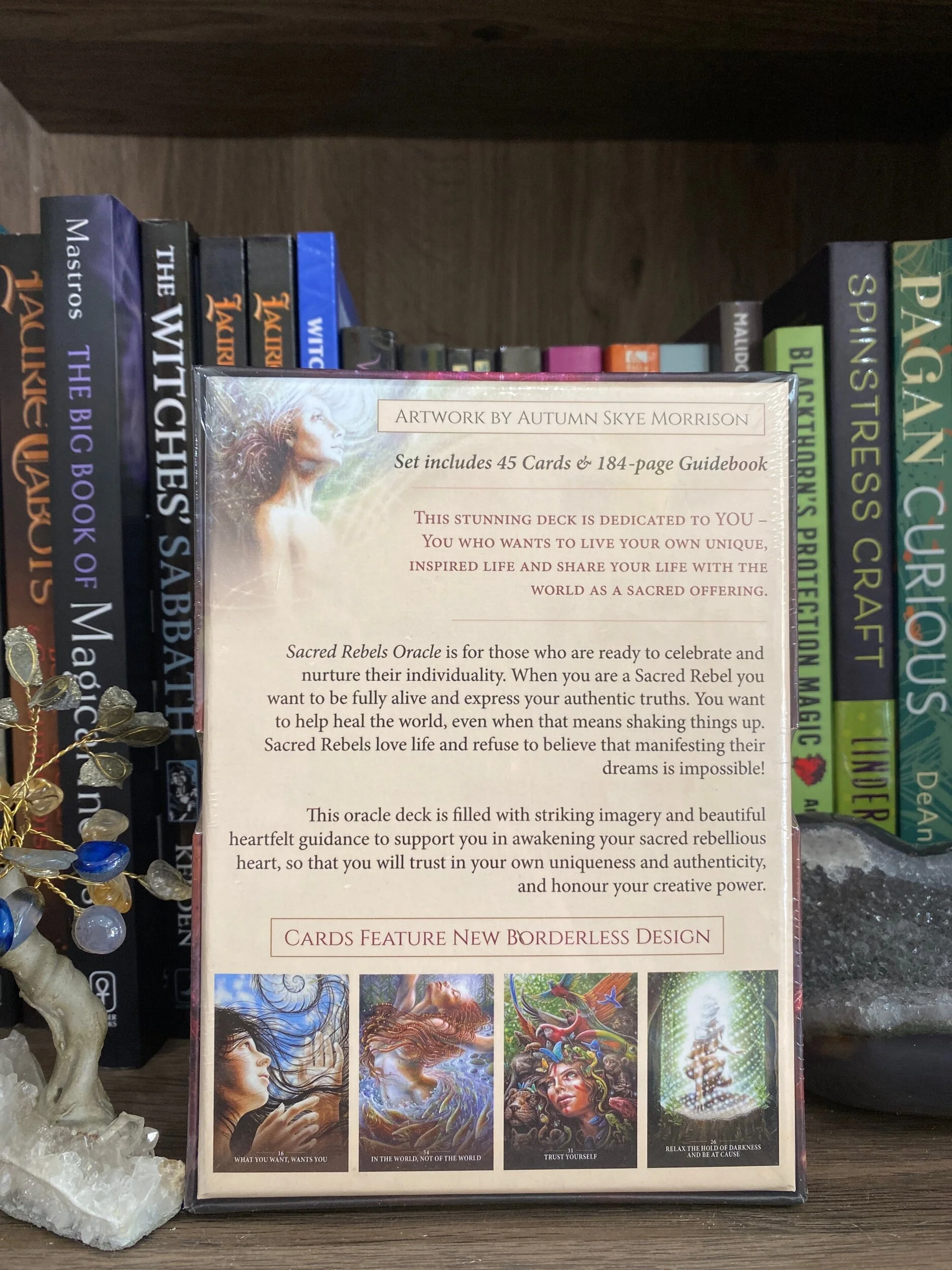 A61182D5-6E63-461B-A2AE-BE5DEDA7B12D