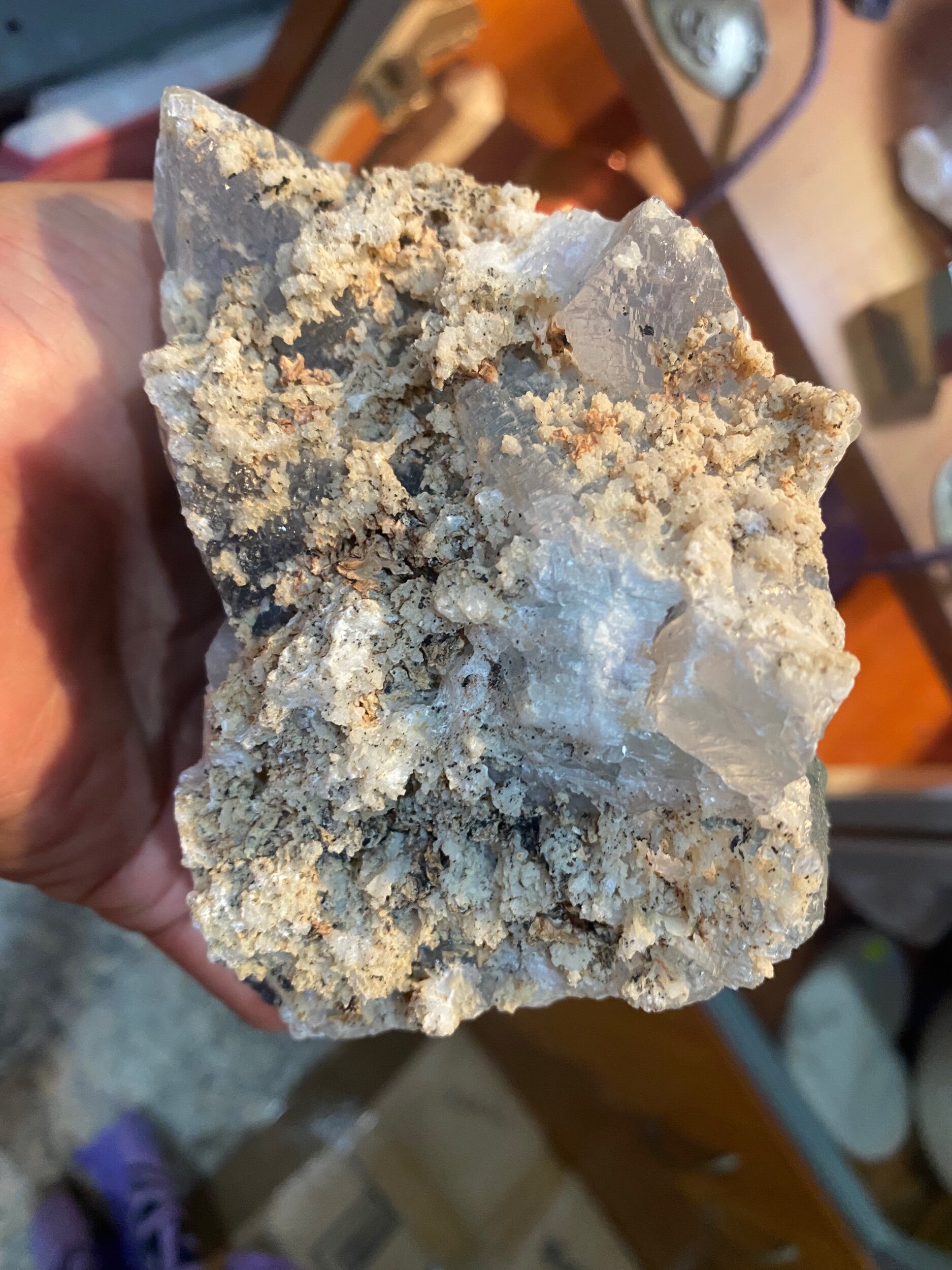 0293168B-7141-4201-829B-7AC9A124C671