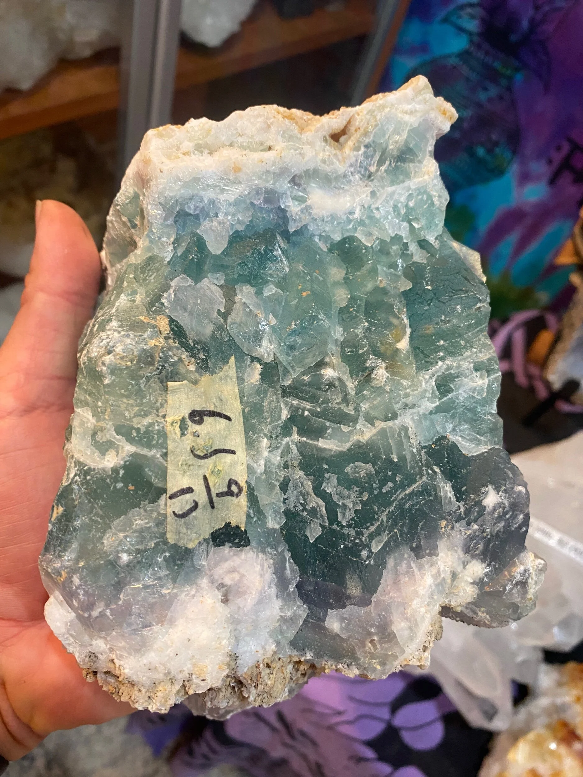 B6497E0D-E484-4A62-8AAA-A3C144B547C6