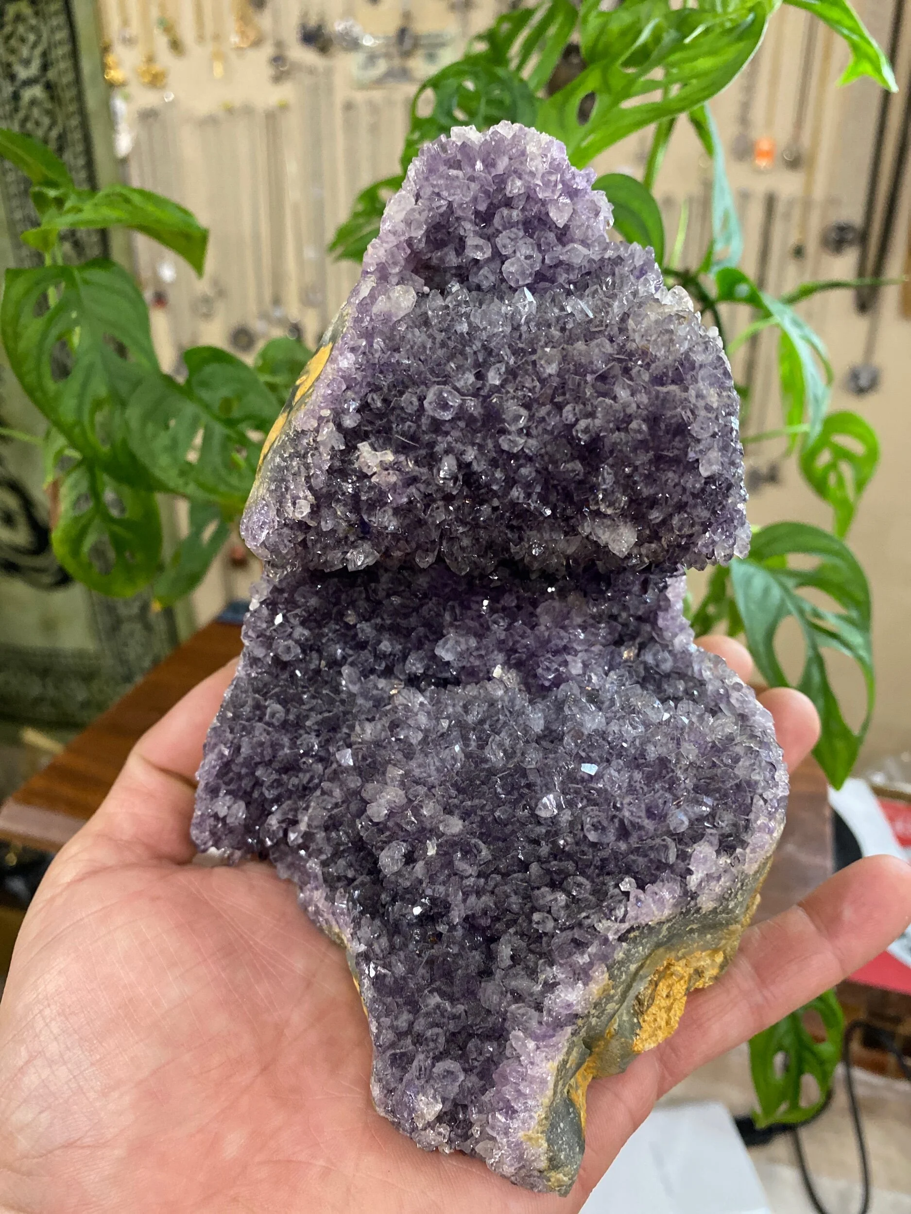 909955A0-8AB2-492C-B641-3DED0BDDD139