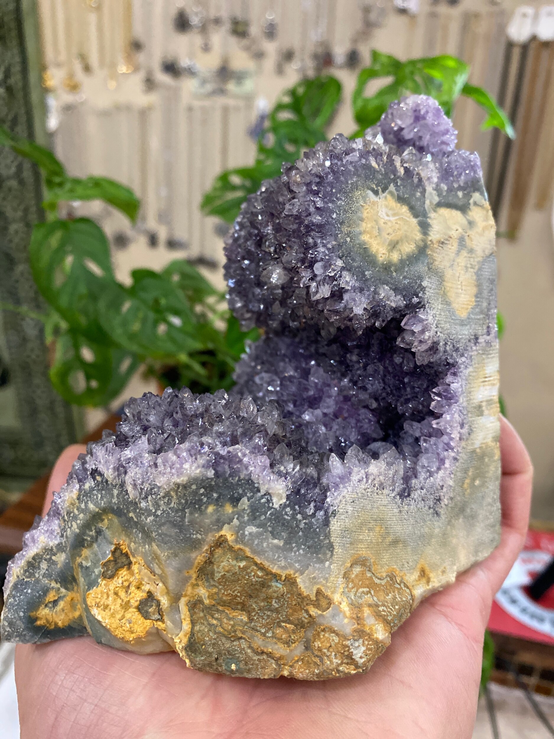 82991552-1D44-4D22-B8D4-9DE98D9A1051