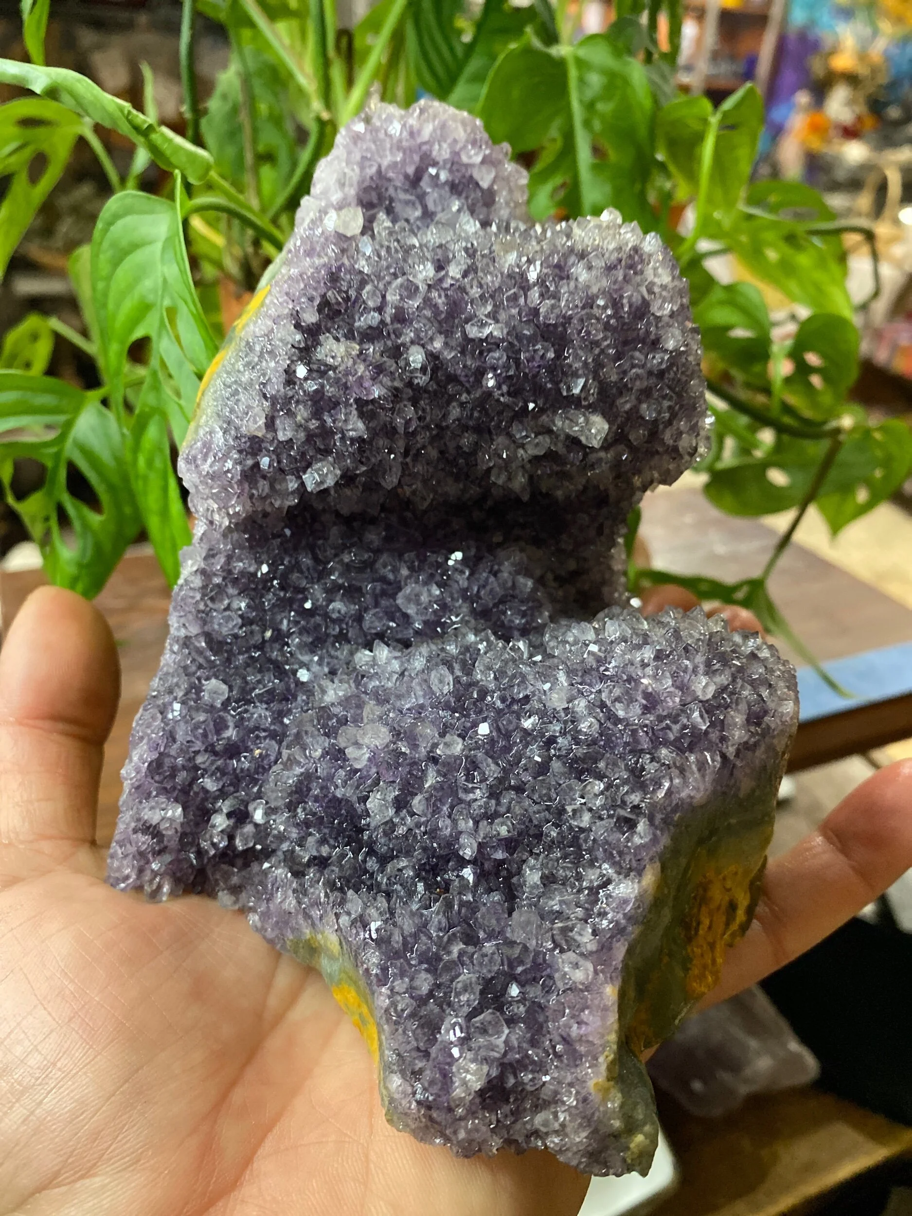 07F616F2-03D9-4C9B-87CA-0F4276486B5E