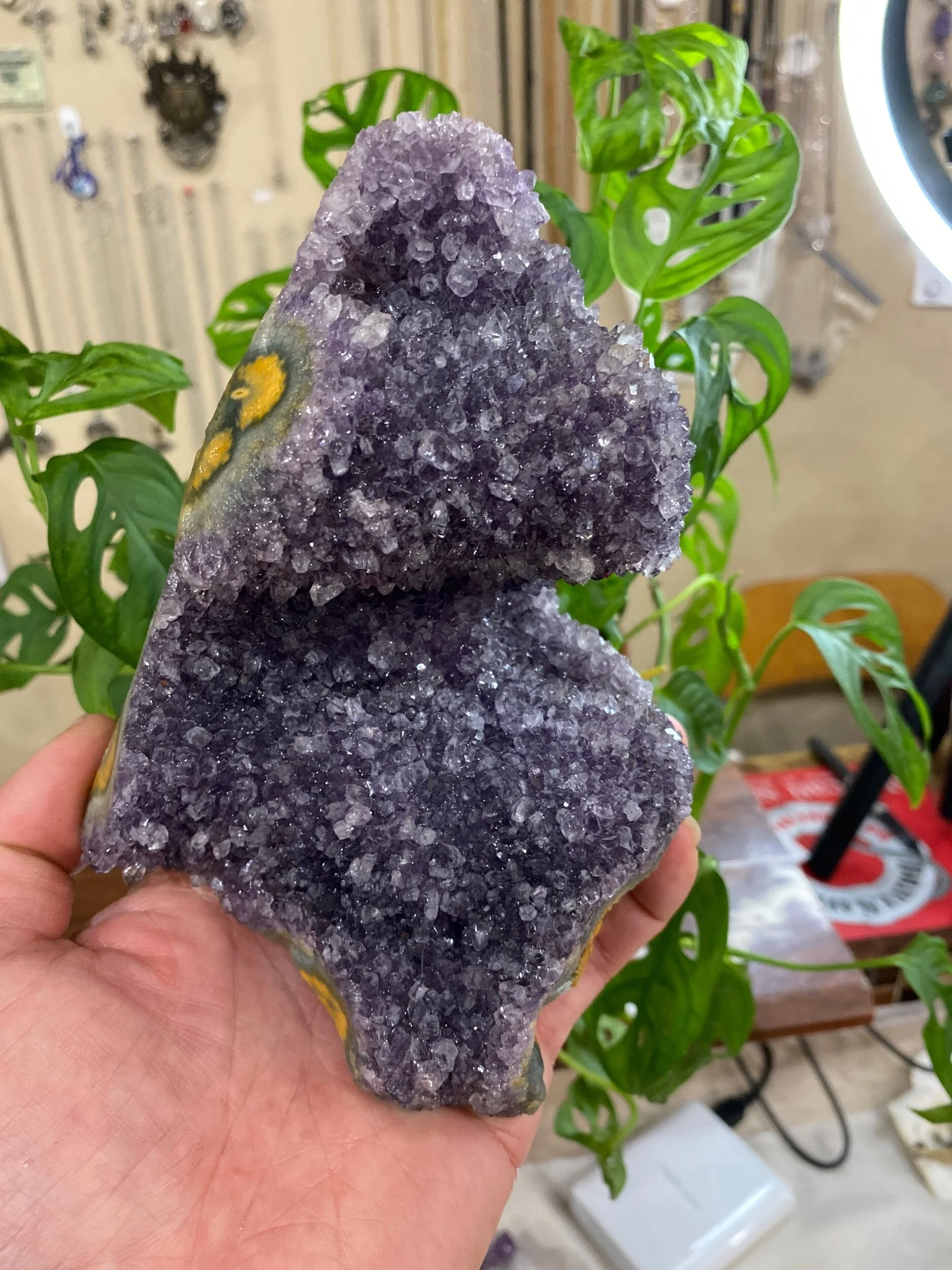 6B99C5AA-A127-4766-A7E2-BB7EF147C805