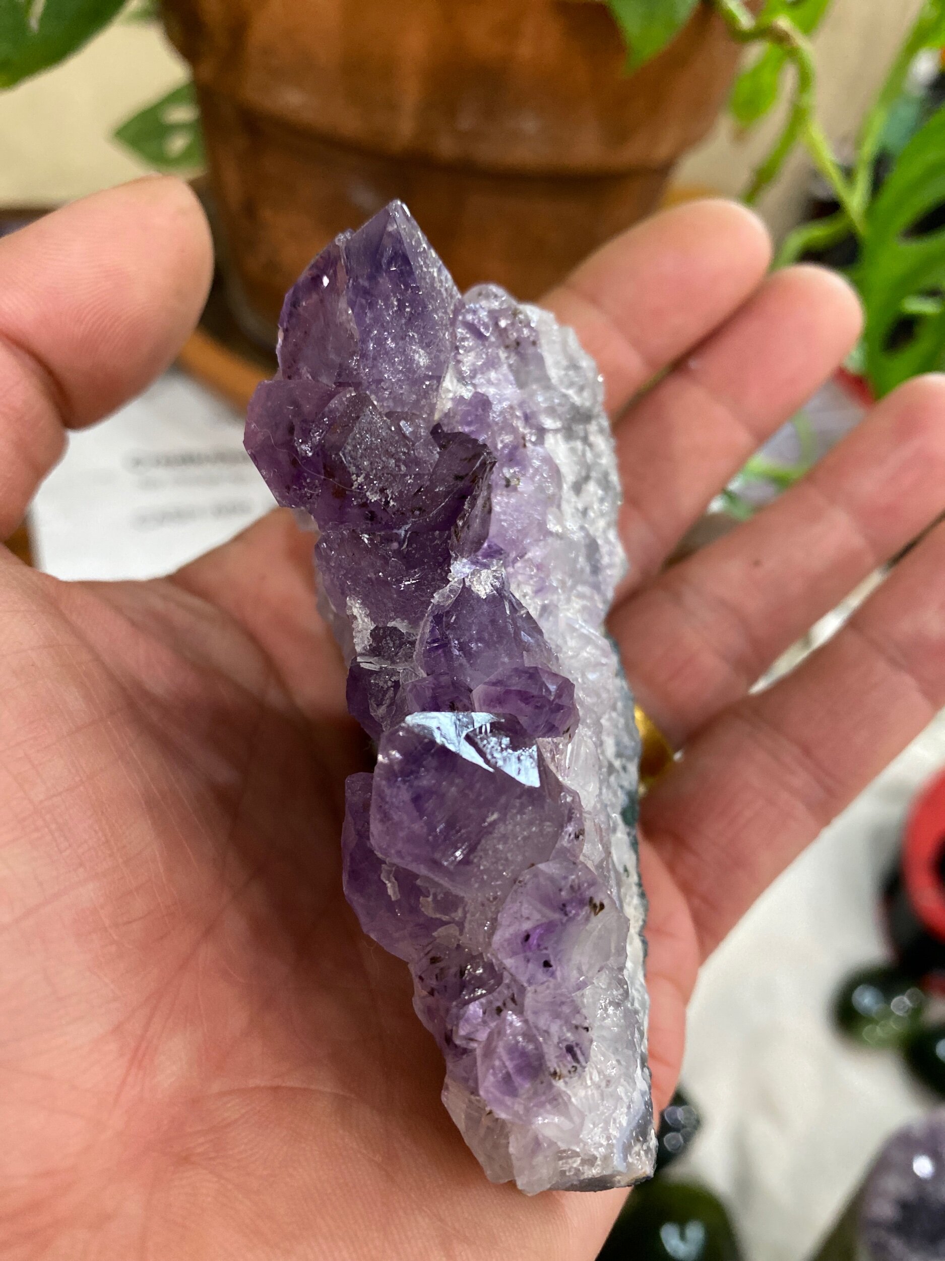 9290CC1B-EB21-4282-B404-2E21EB4FE6D2