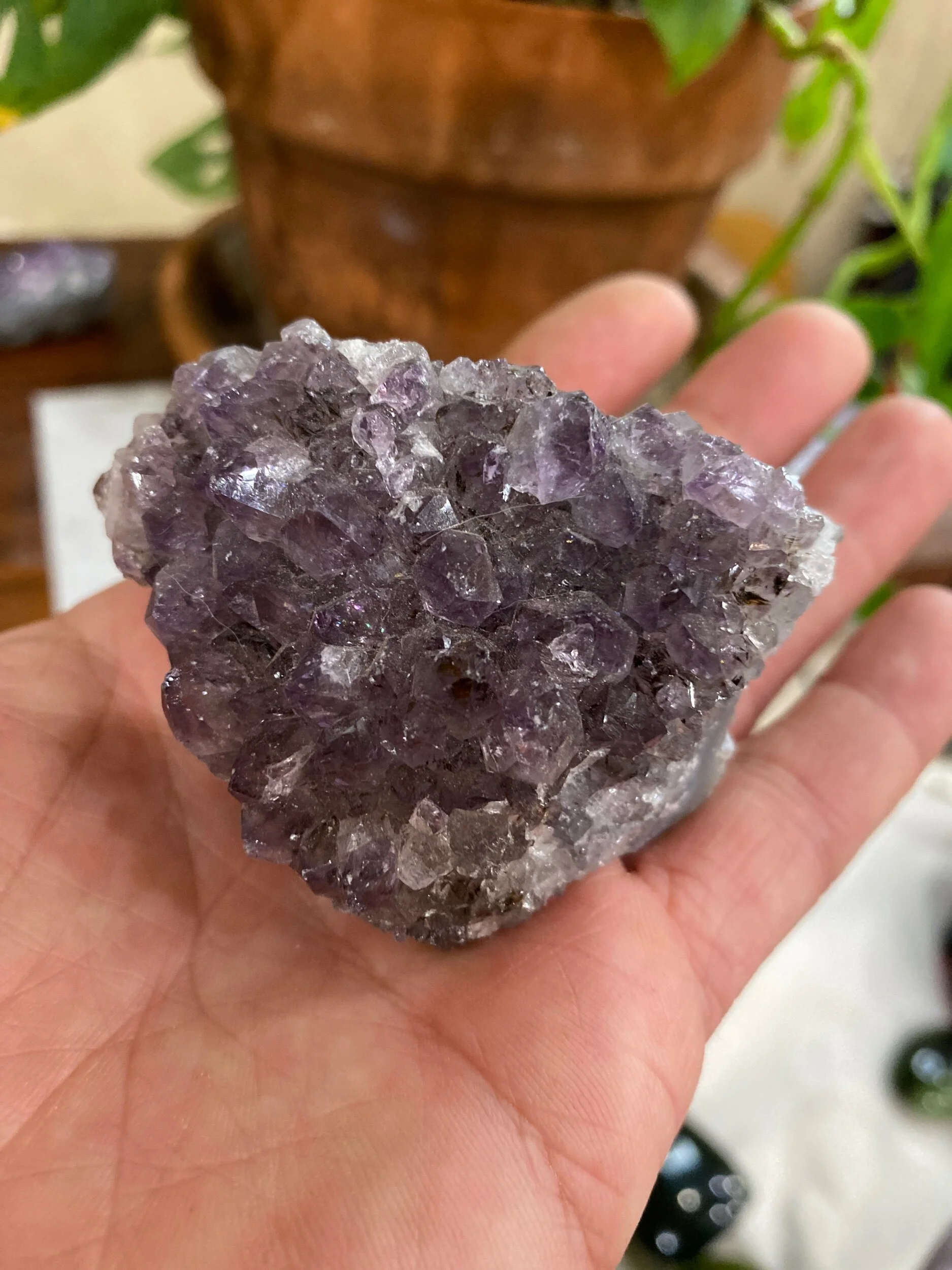 3A464E8F-BB15-4126-BD1F-AA26802D2F24