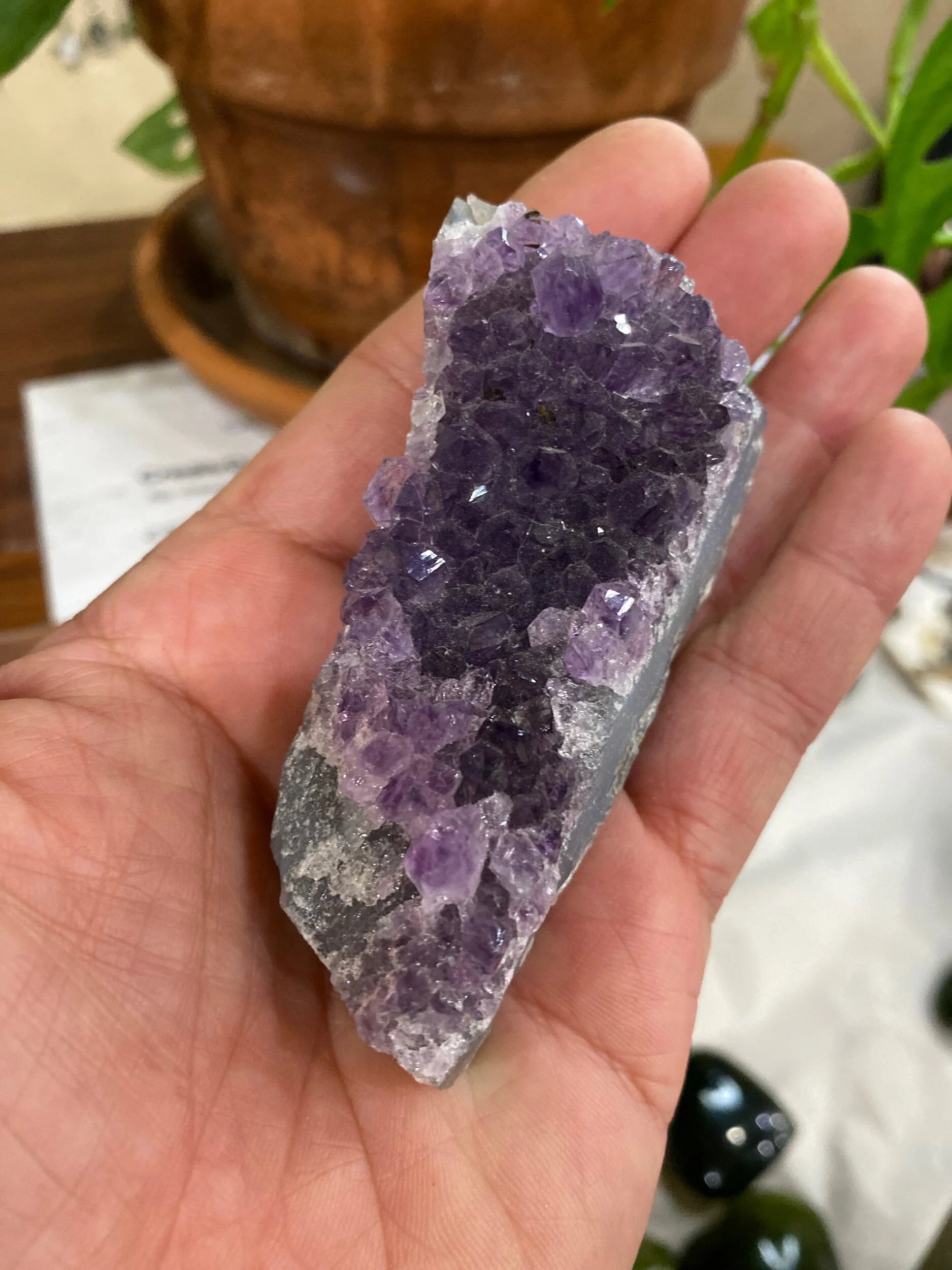 8A524D1D-0E98-4C5E-A14C-691B456C60DC