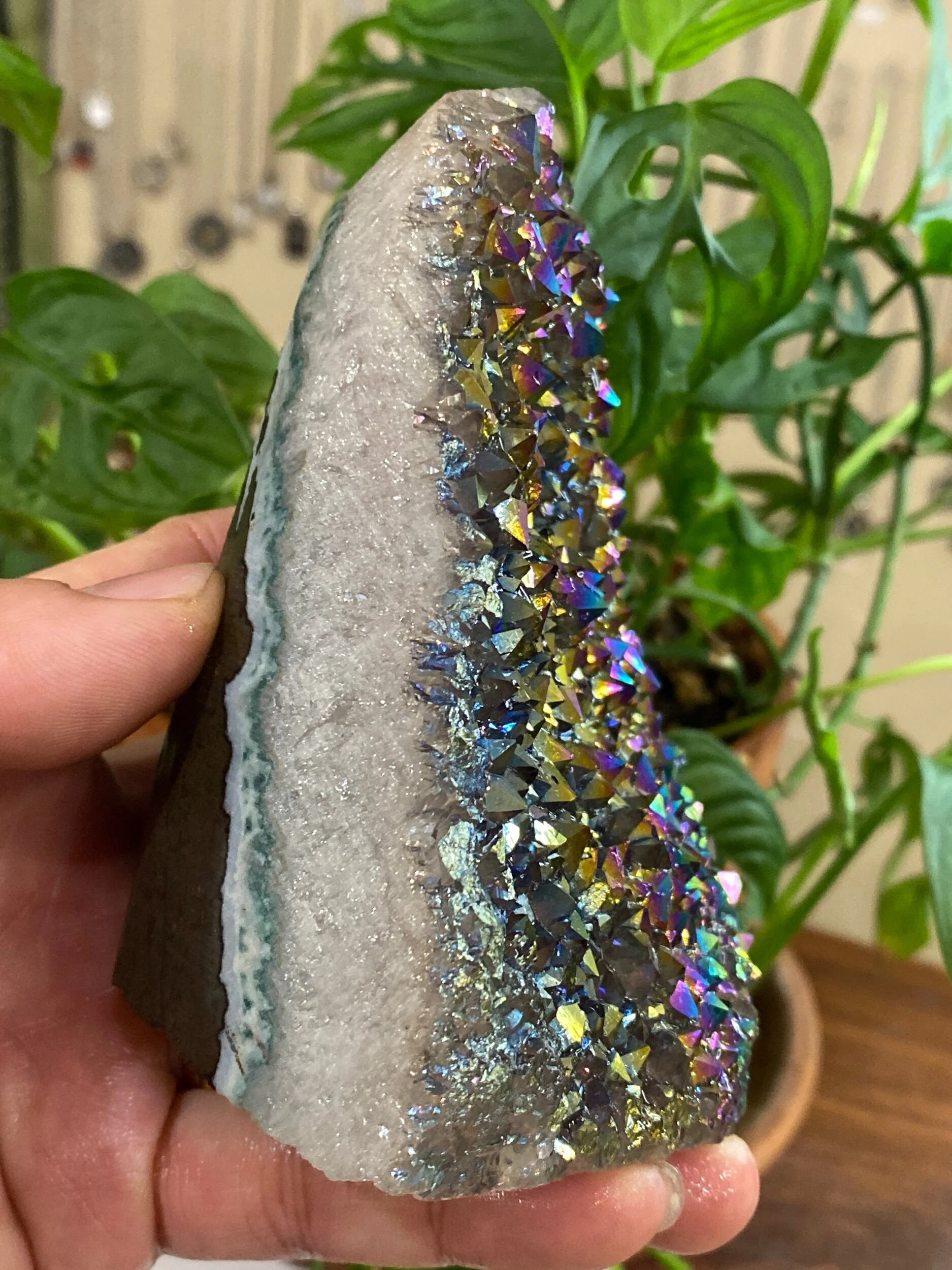 C50CAC37-D957-4C25-8A3E-A93F9CDE4F13