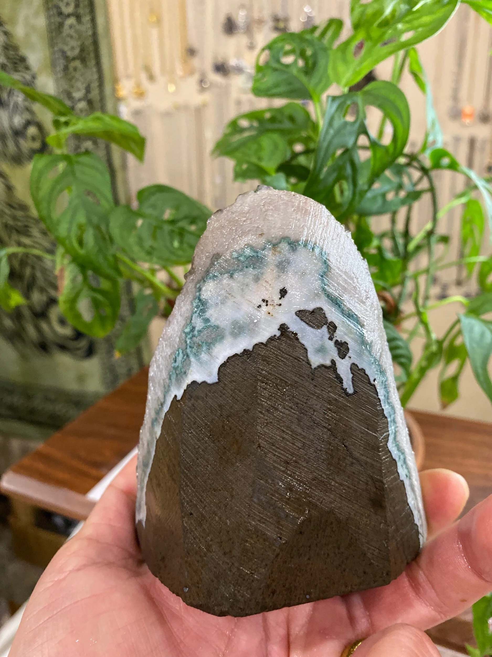 5040FFCD-66F6-4752-A2D5-FD0907981A29