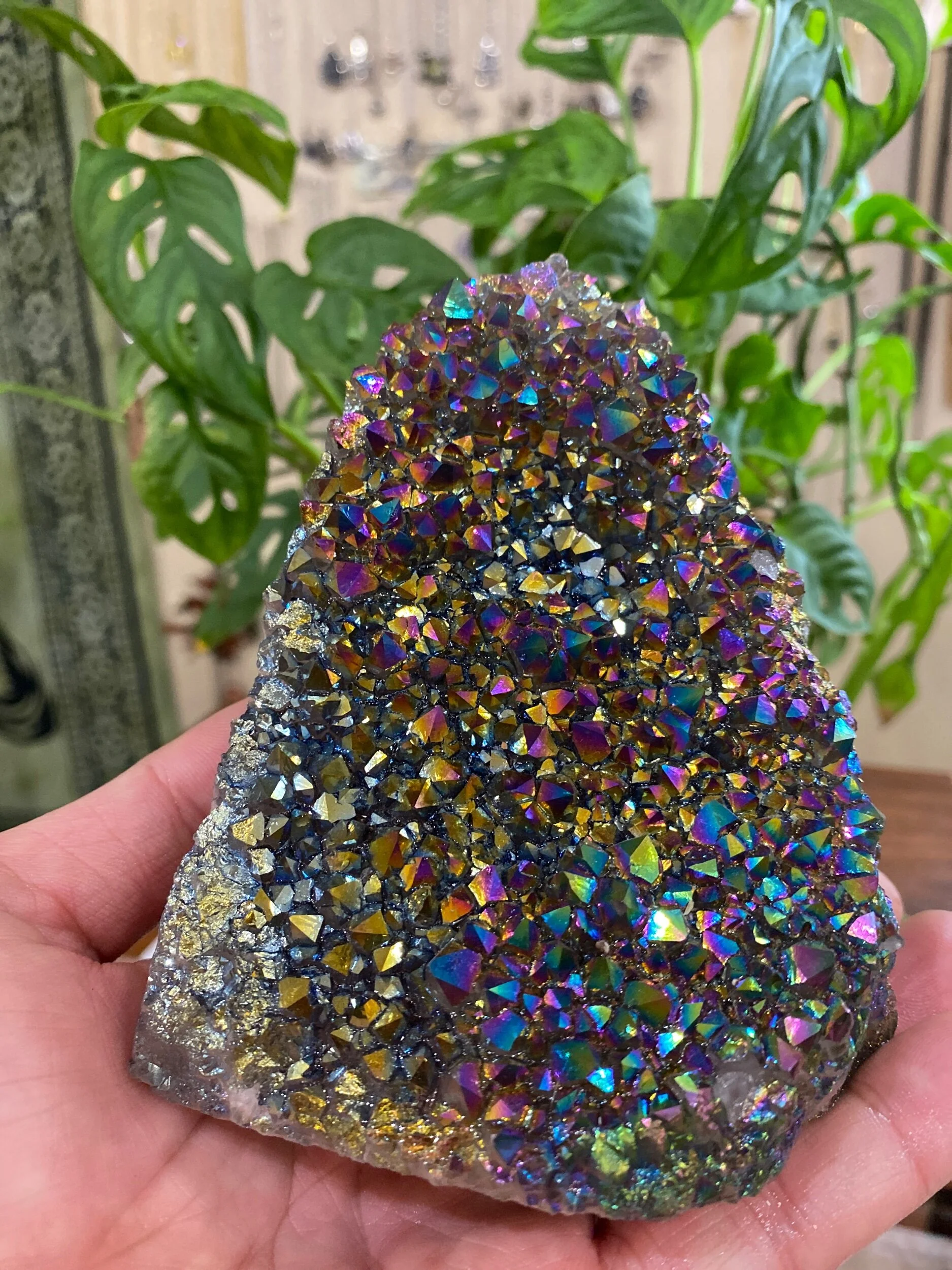 24EE8DF4-055E-4927-A26E-6A27EF9D714D