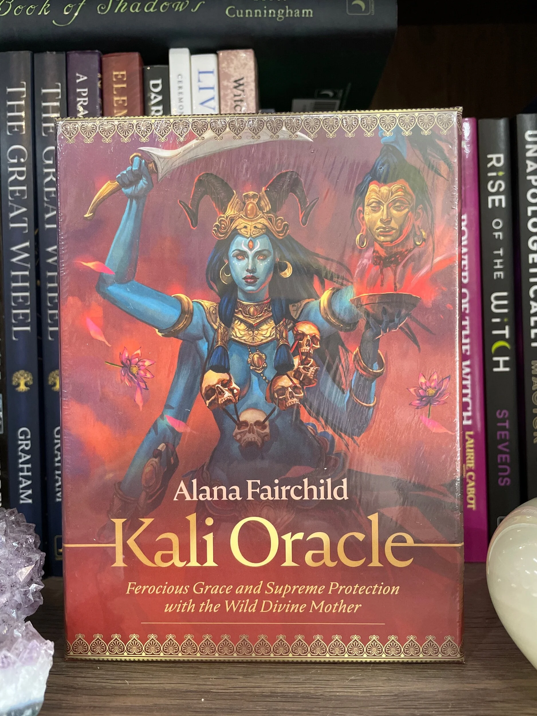 058F4207-69DB-4EE9-8A2A-44A6489CD4FE