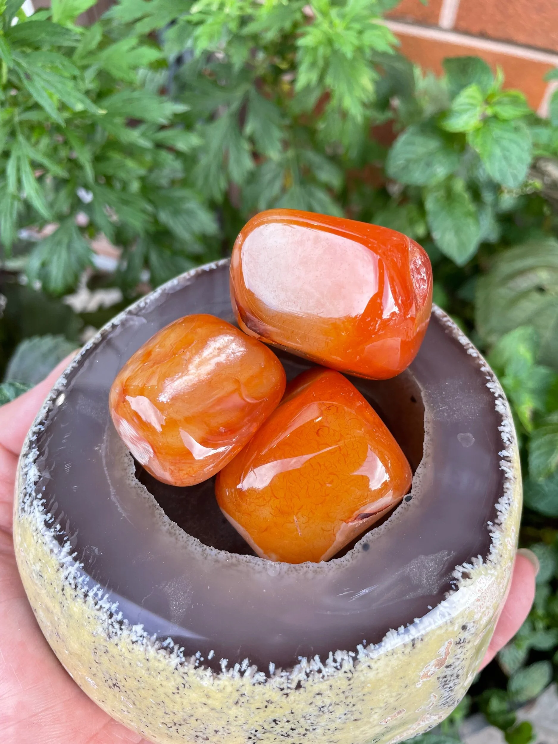 8261C40C-3A9E-46BB-9084-D609CE577122