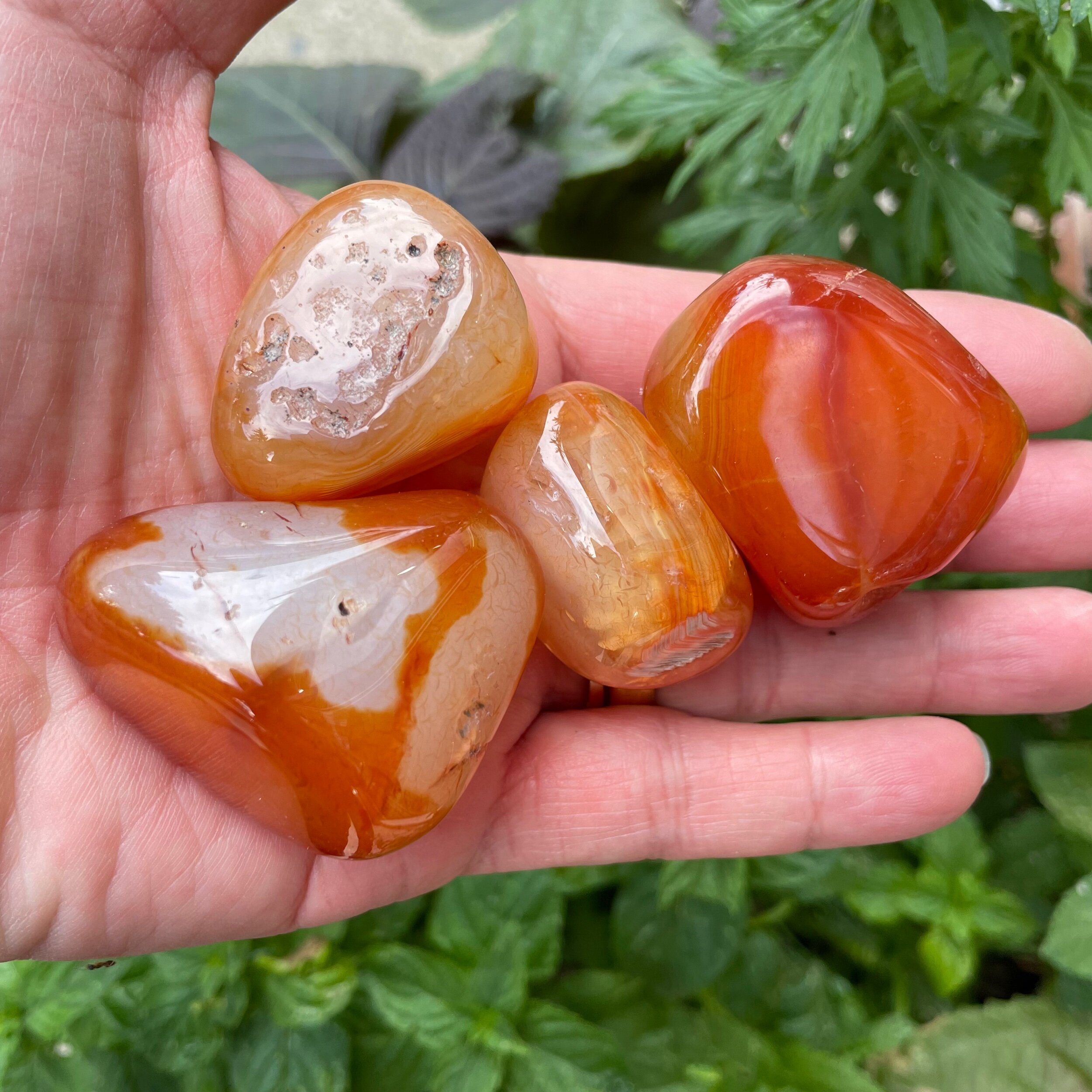 04141DC5-DC57-469F-BB9D-681D136BA27B