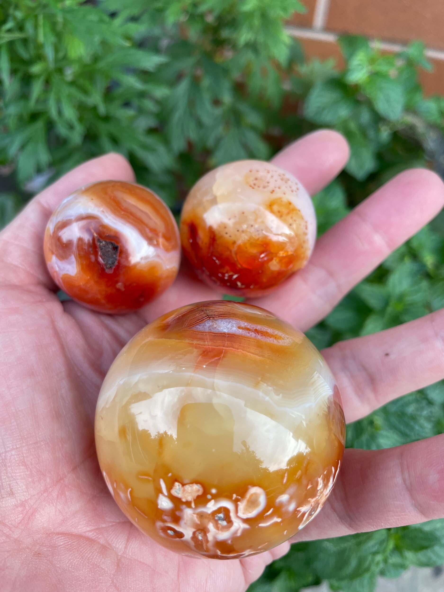 FCFAEE75-64B9-4A8B-A26F-E3BB2CBD65B3