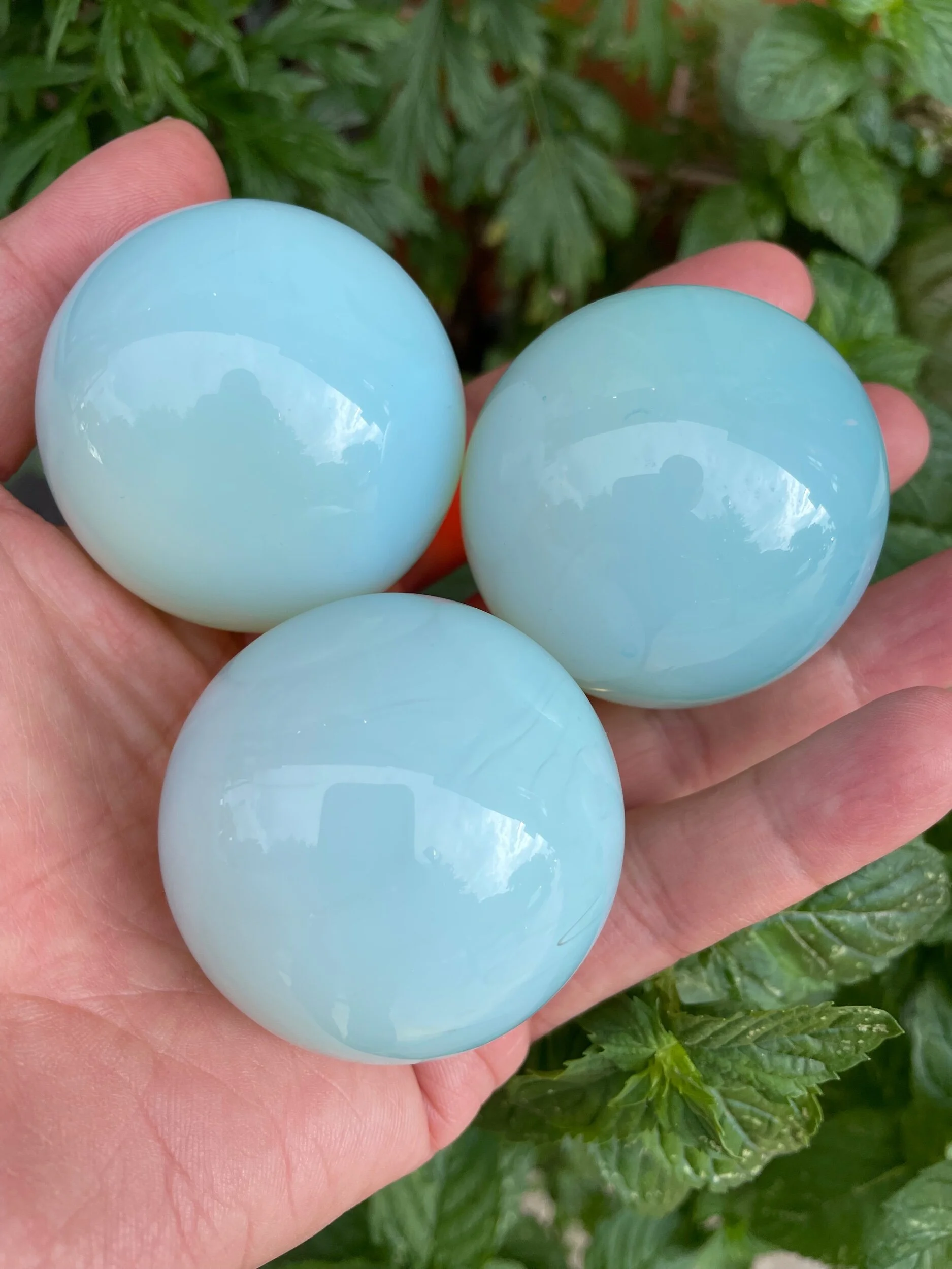 B1E71AB4-F8CD-480B-A8C4-703584009407