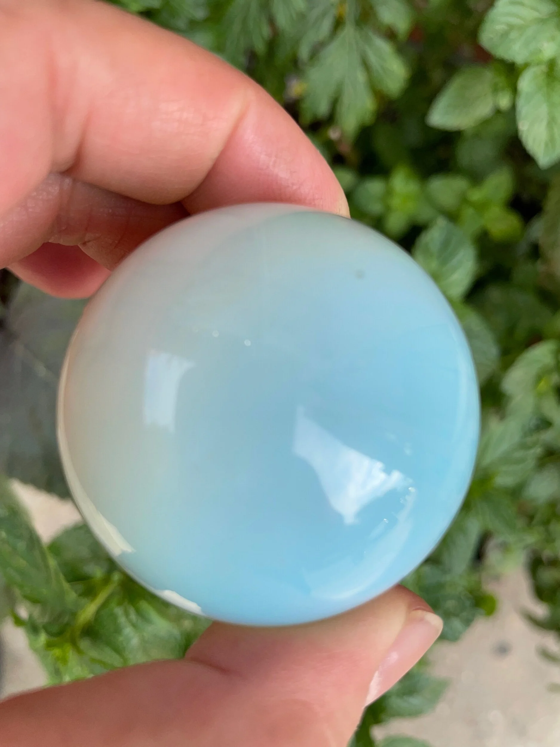 B5196858-B84C-4147-81D5-0203A815BF61