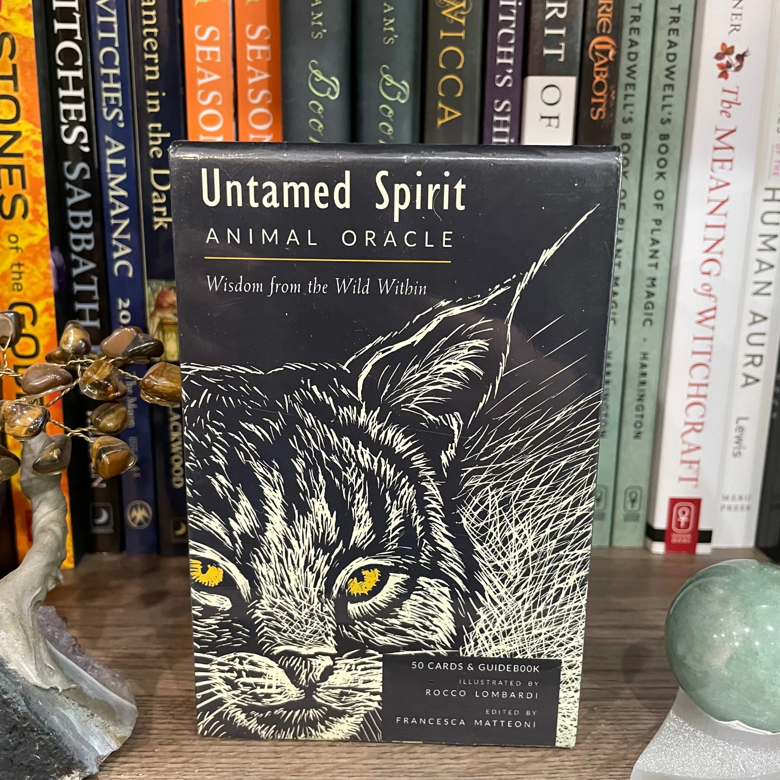 A949E929-D981-48F9-8D7C-DD0466C94BBE