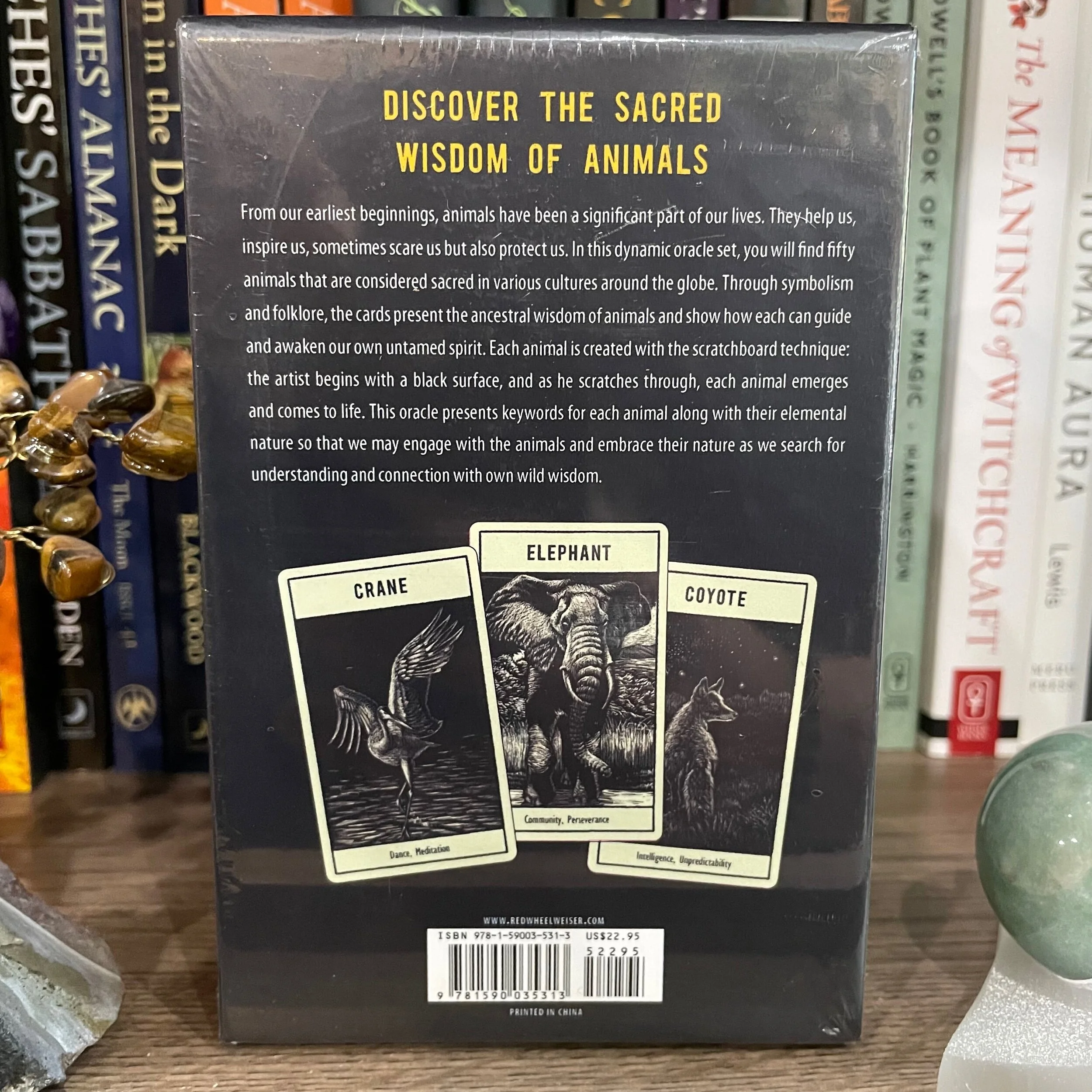 53136739-33D0-458A-A126-99EC29BDC935