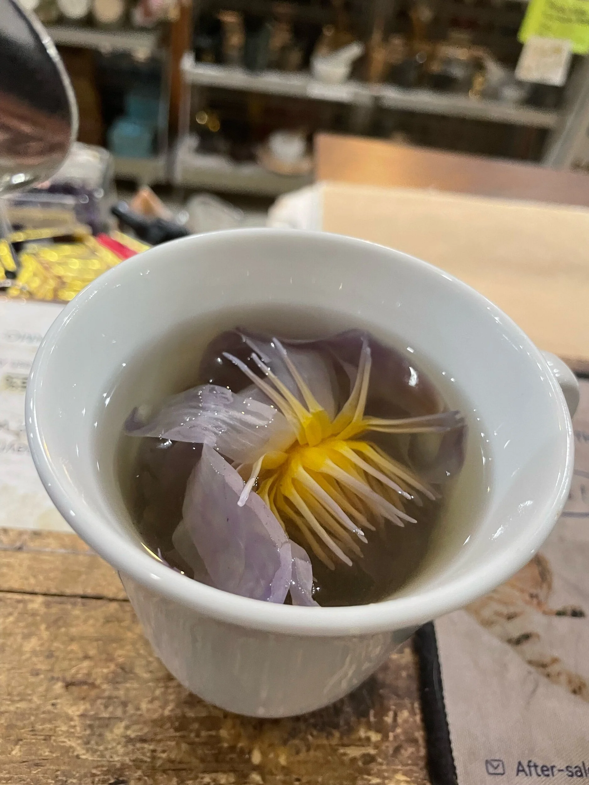 221F1CB5-6C3A-4394-99C8-9731DF098C5C