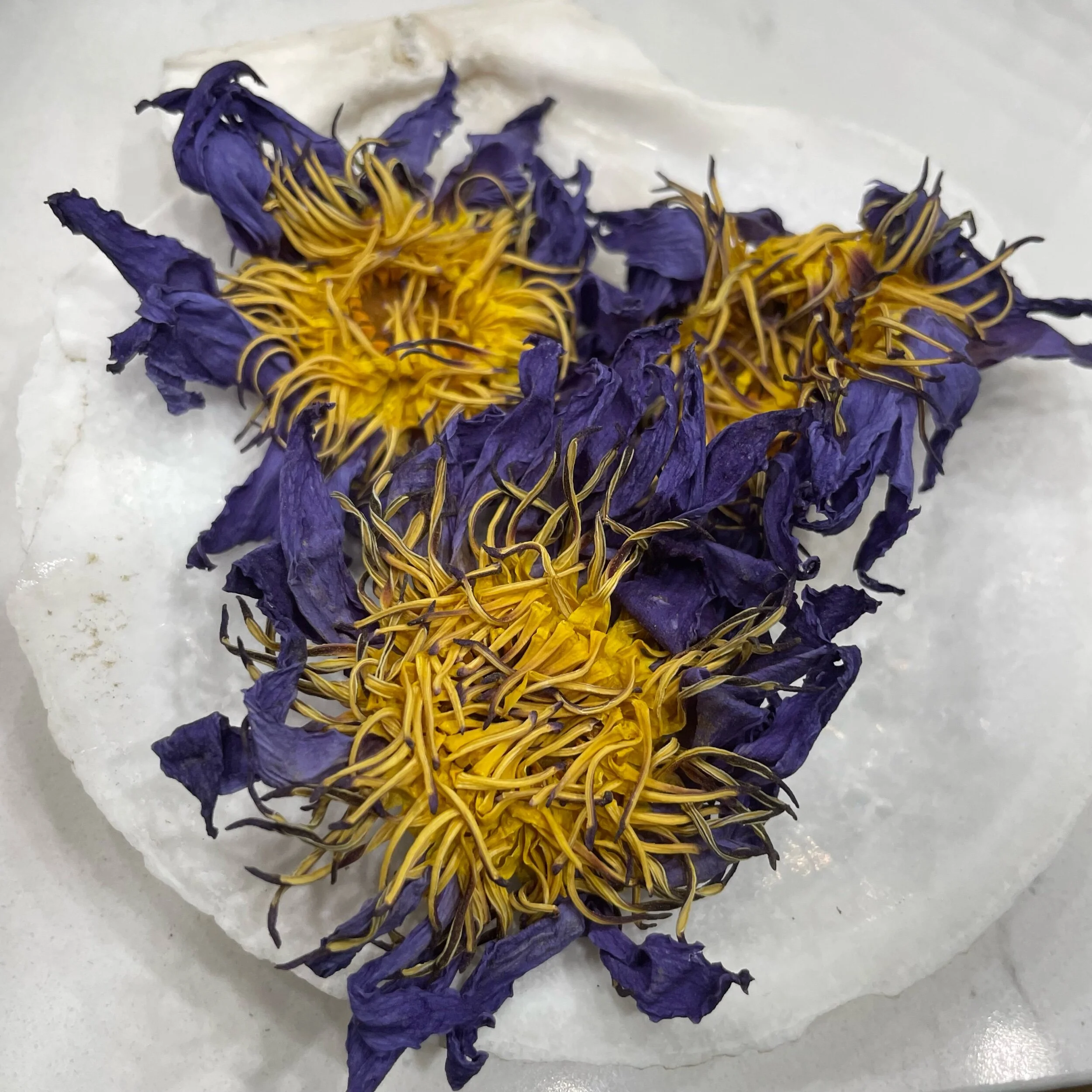 C9038156-FBFC-47A7-9201-33FE7A1BD761