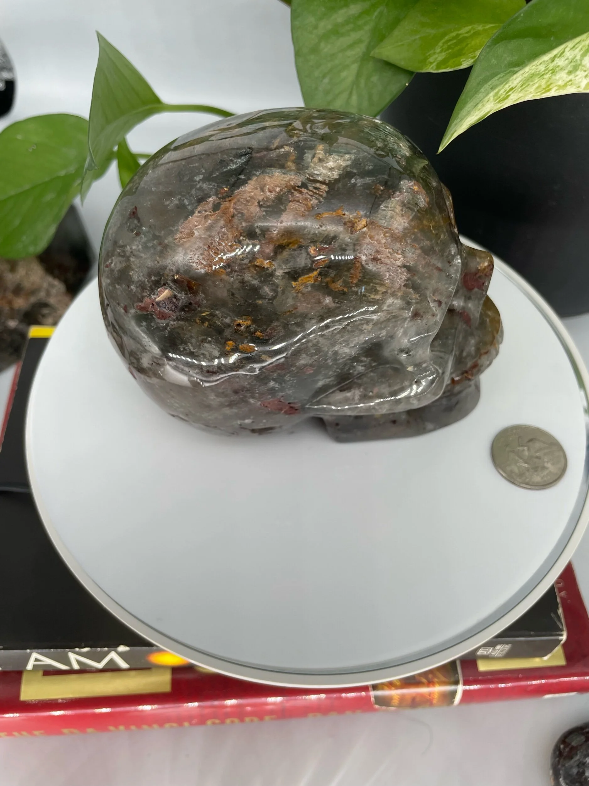 0AA15E27-6D9B-41F7-AED1-1AAEC6B3D0AC