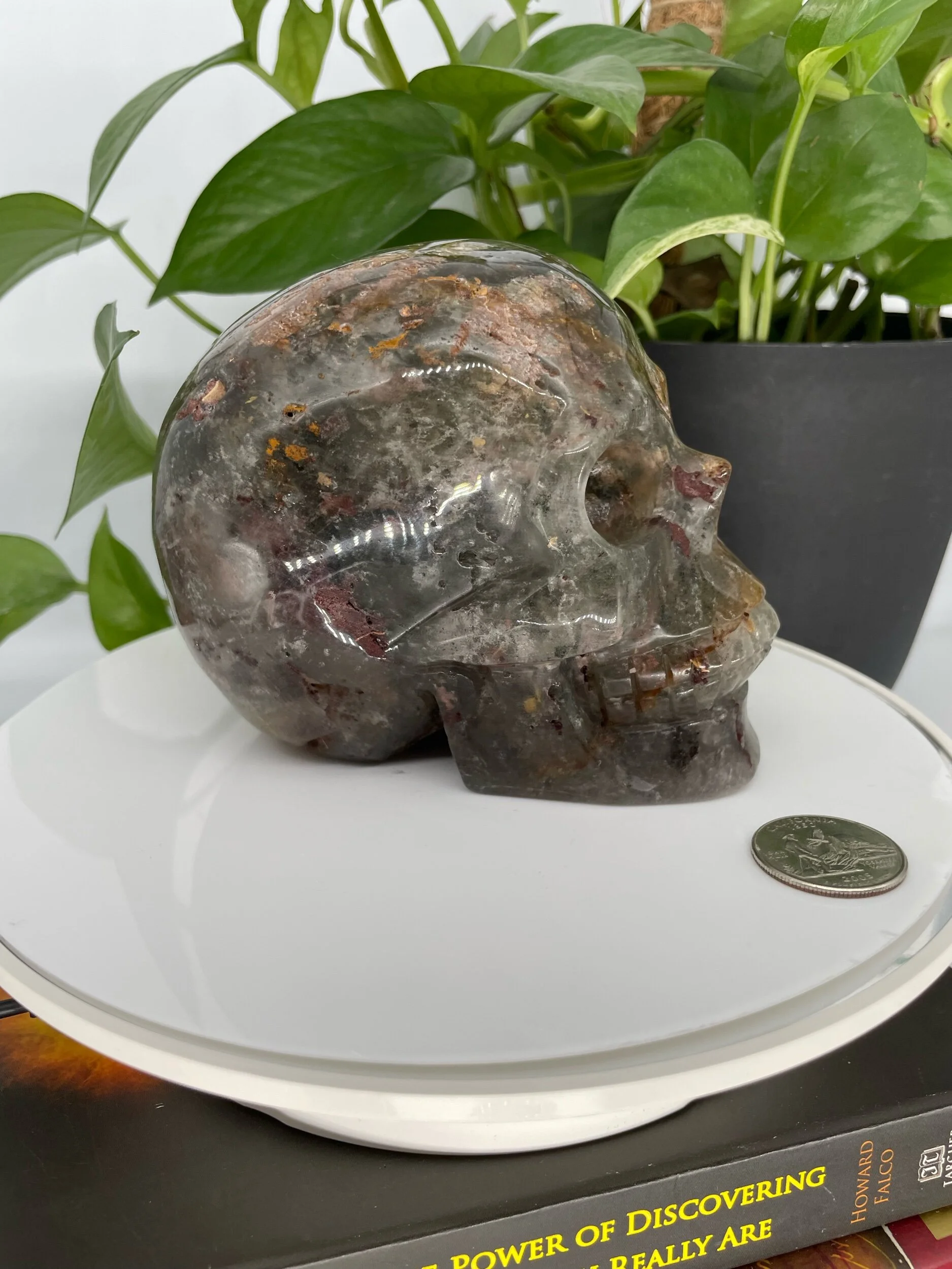 10E7F0A9-41F5-4E71-BCE7-011675DFD2D4