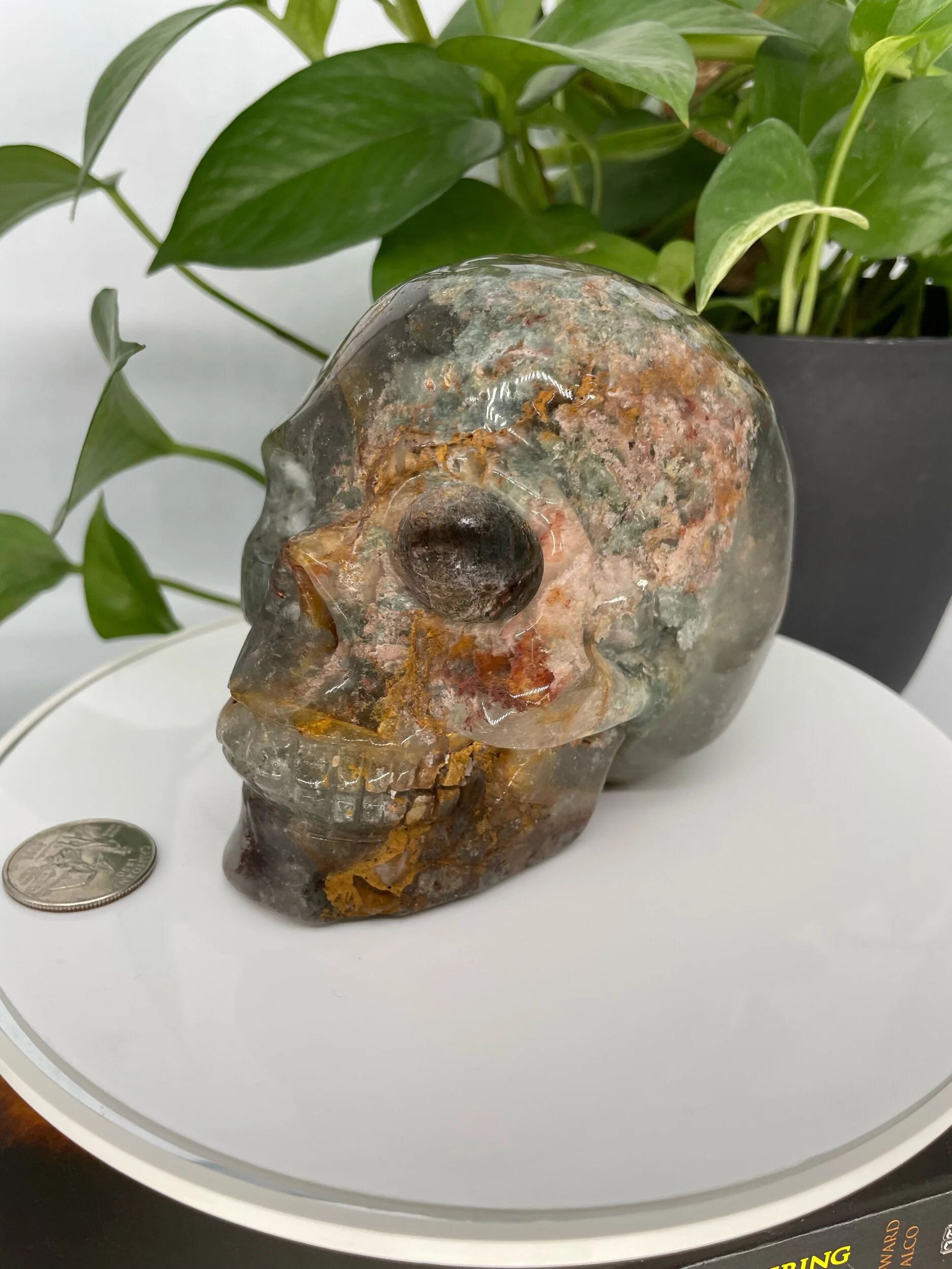 DB3A77B2-0289-450B-A849-97B8FCC451B4