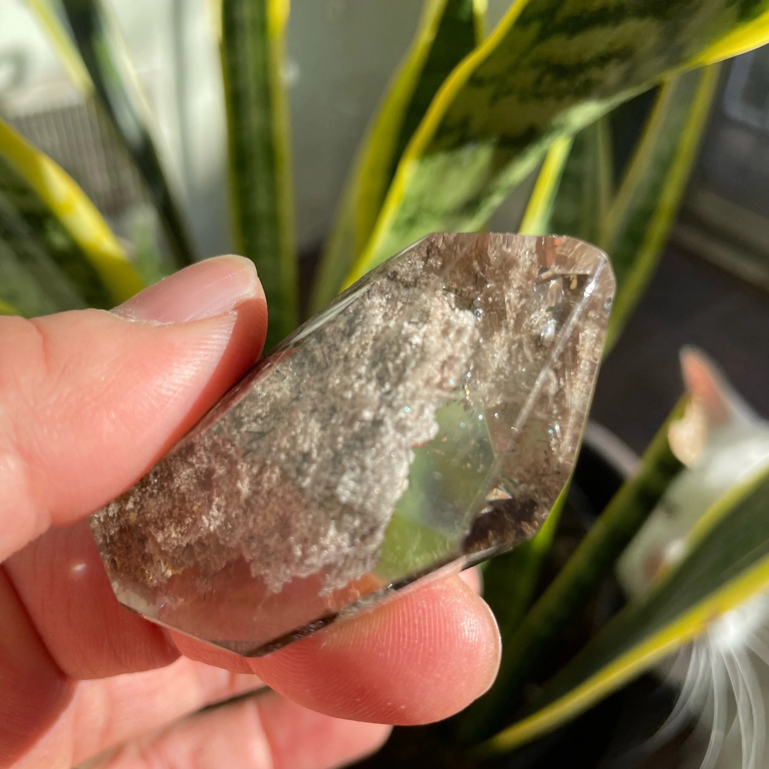 E6EAA025-E9CC-4632-BB91-06A28408E4D5