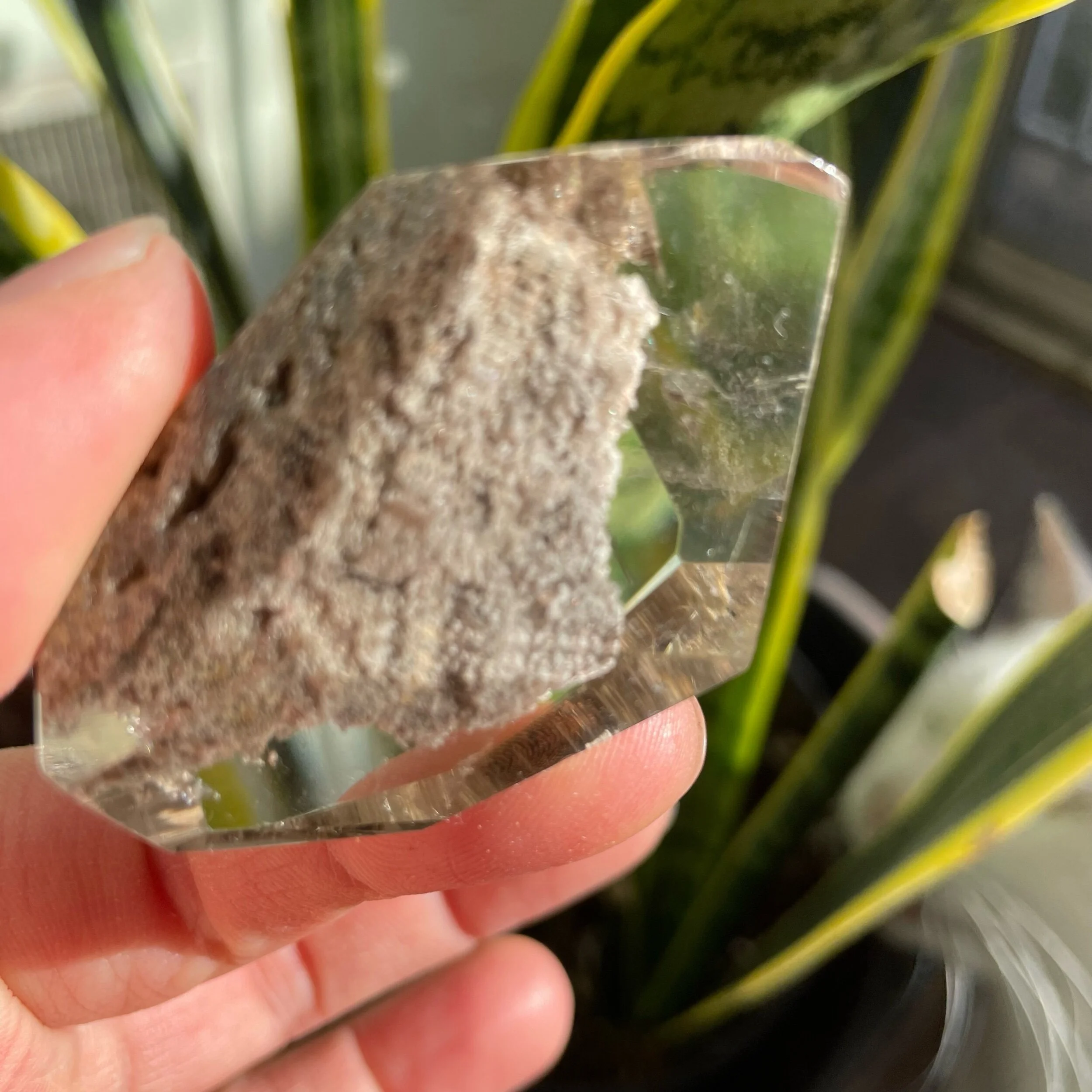 CE29EC6B-71DF-43A4-8343-416114EFFF41