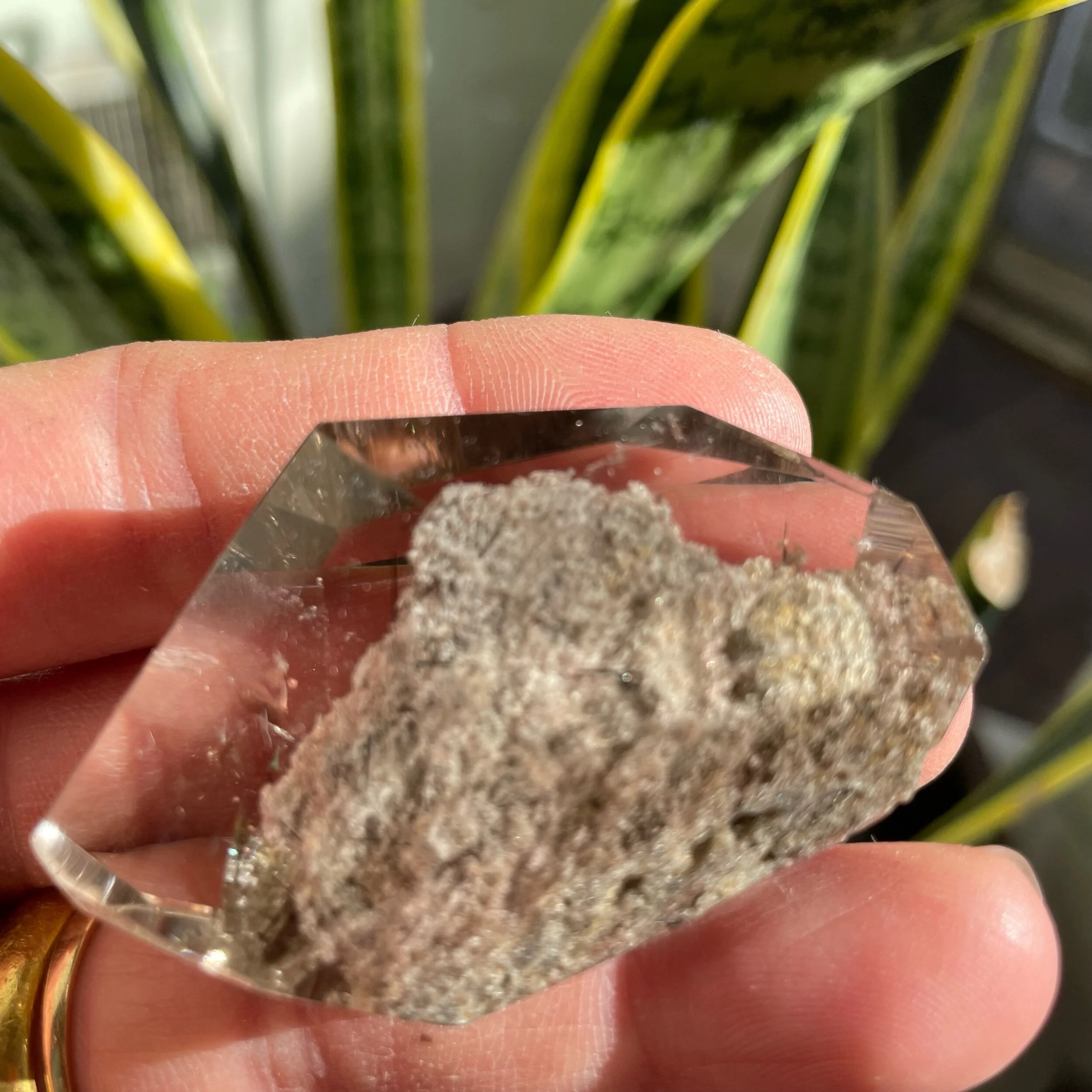 E4B08BA5-6130-4C52-83F5-ECAD0F982158