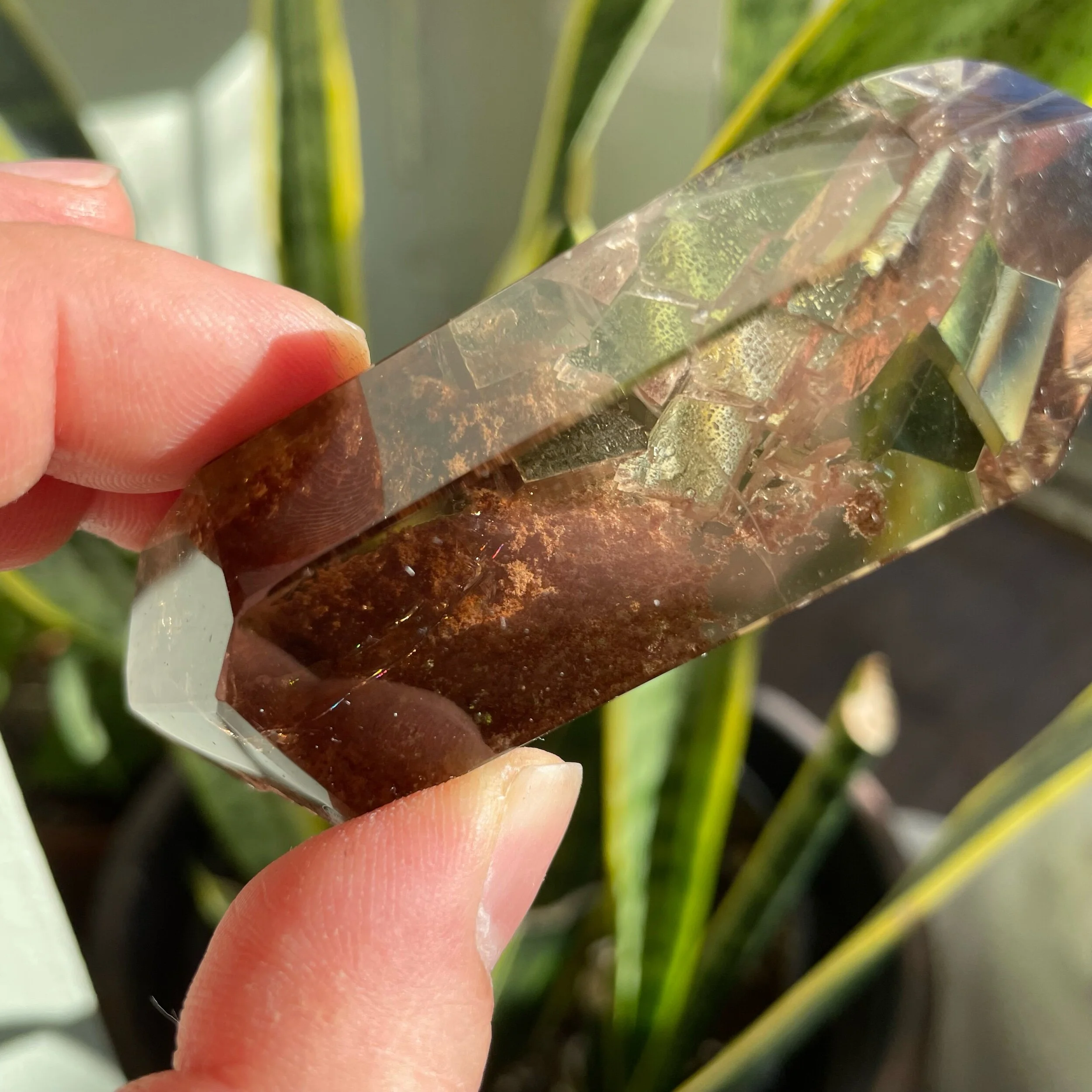 9D56EAE7-A29B-42FA-A08F-ED31E5987C54