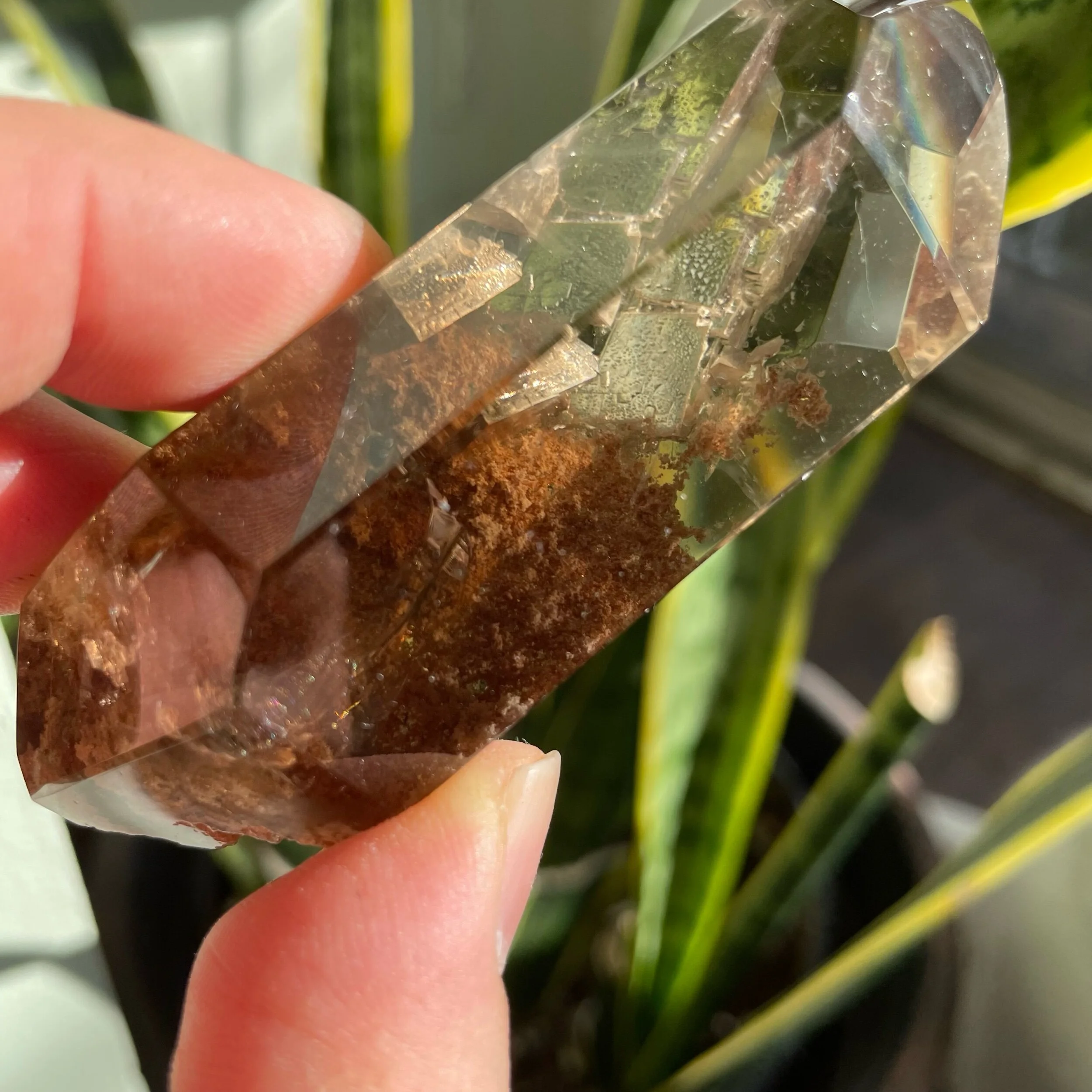 5871C643-1F20-49CD-972B-0FD3161D0345