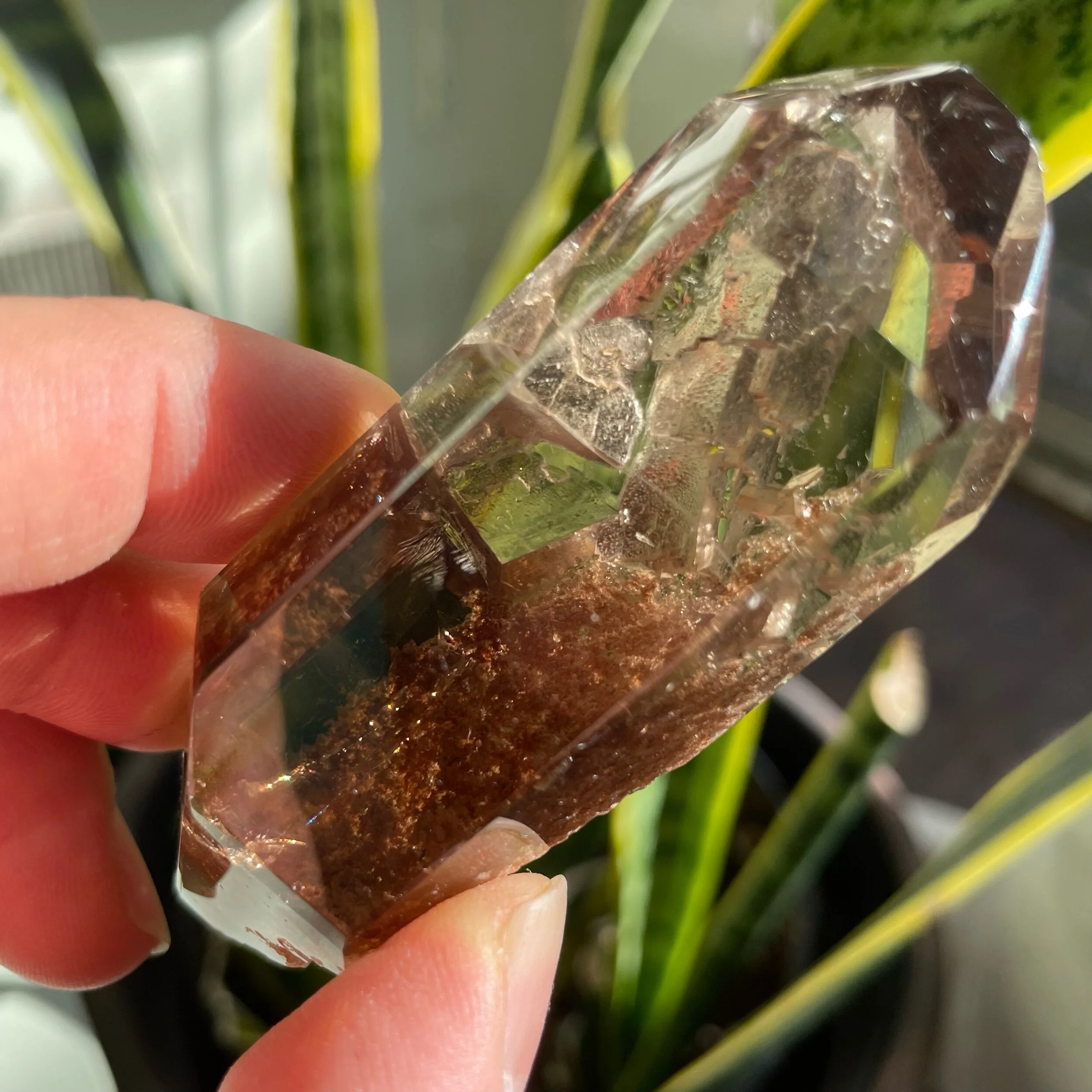 F7C0691C-5696-4F2F-81FB-8DB680AD8EE1