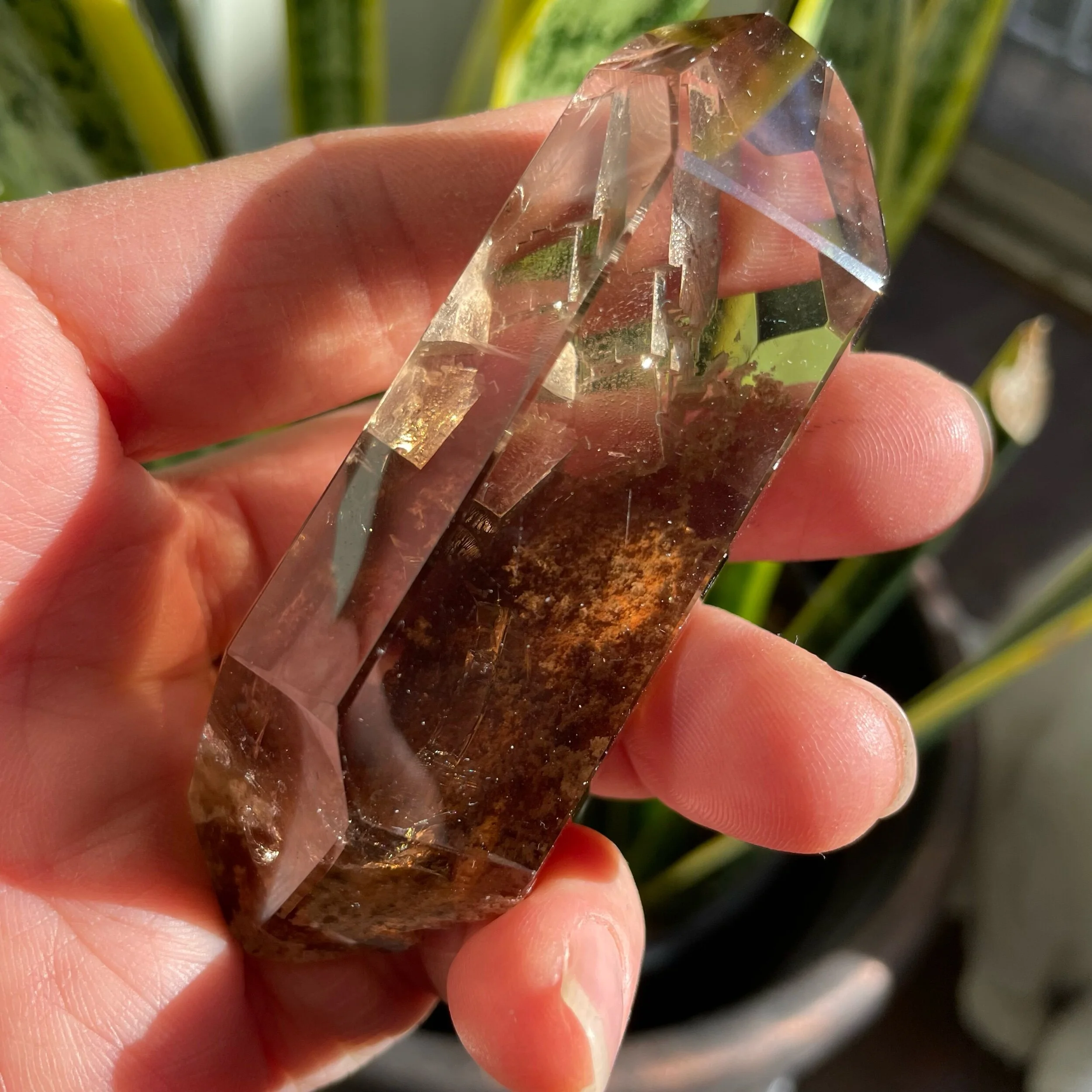 0E9D1331-5E00-4453-8EF7-508913C674B3