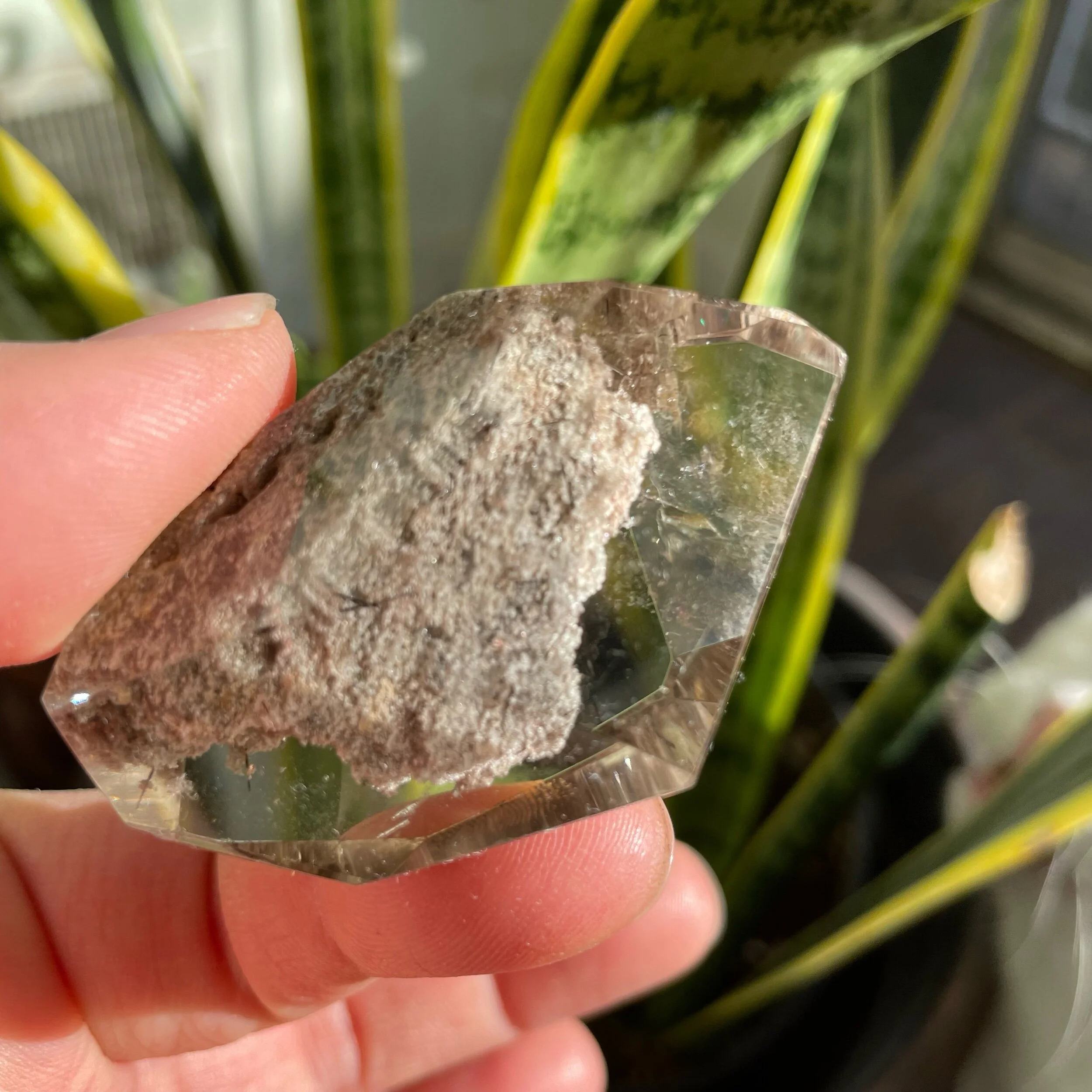 E482F155-93E8-4625-BE5F-B26DACEF7C7D