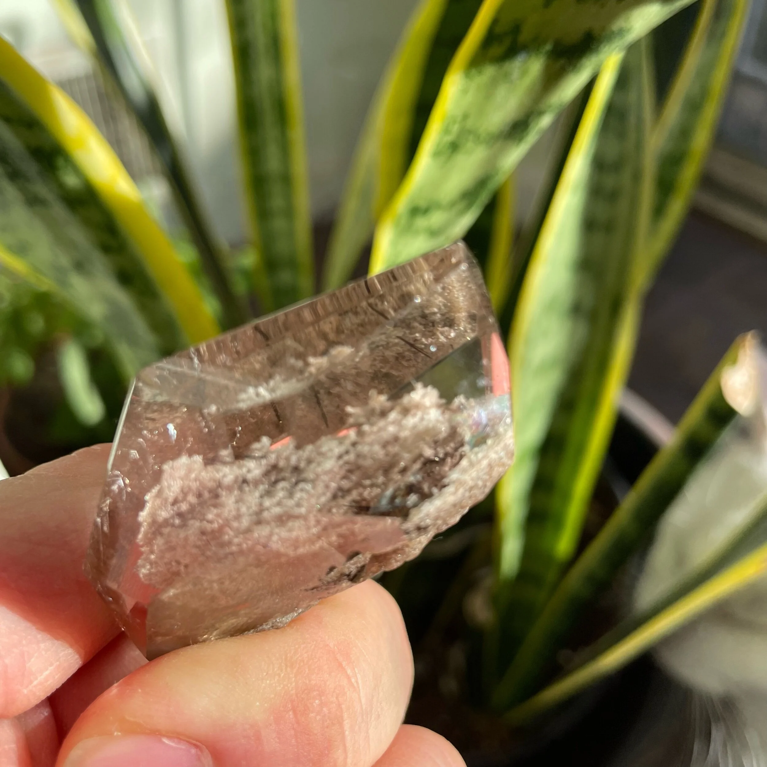 EC012DC4-87EB-40DA-92C6-0FF66A28808F