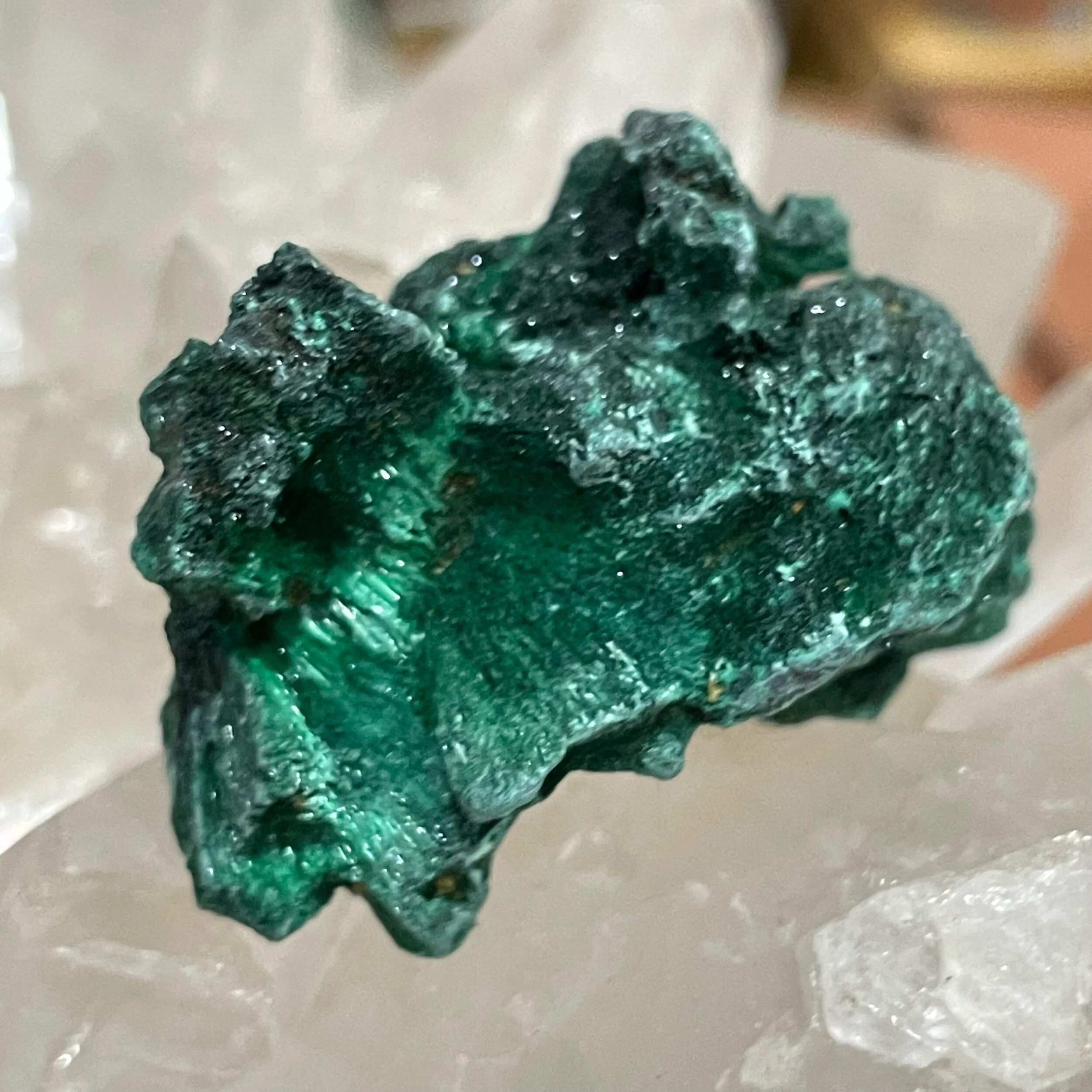 8EDC7AA8-3E2A-47C5-8B79-032582A41E1D