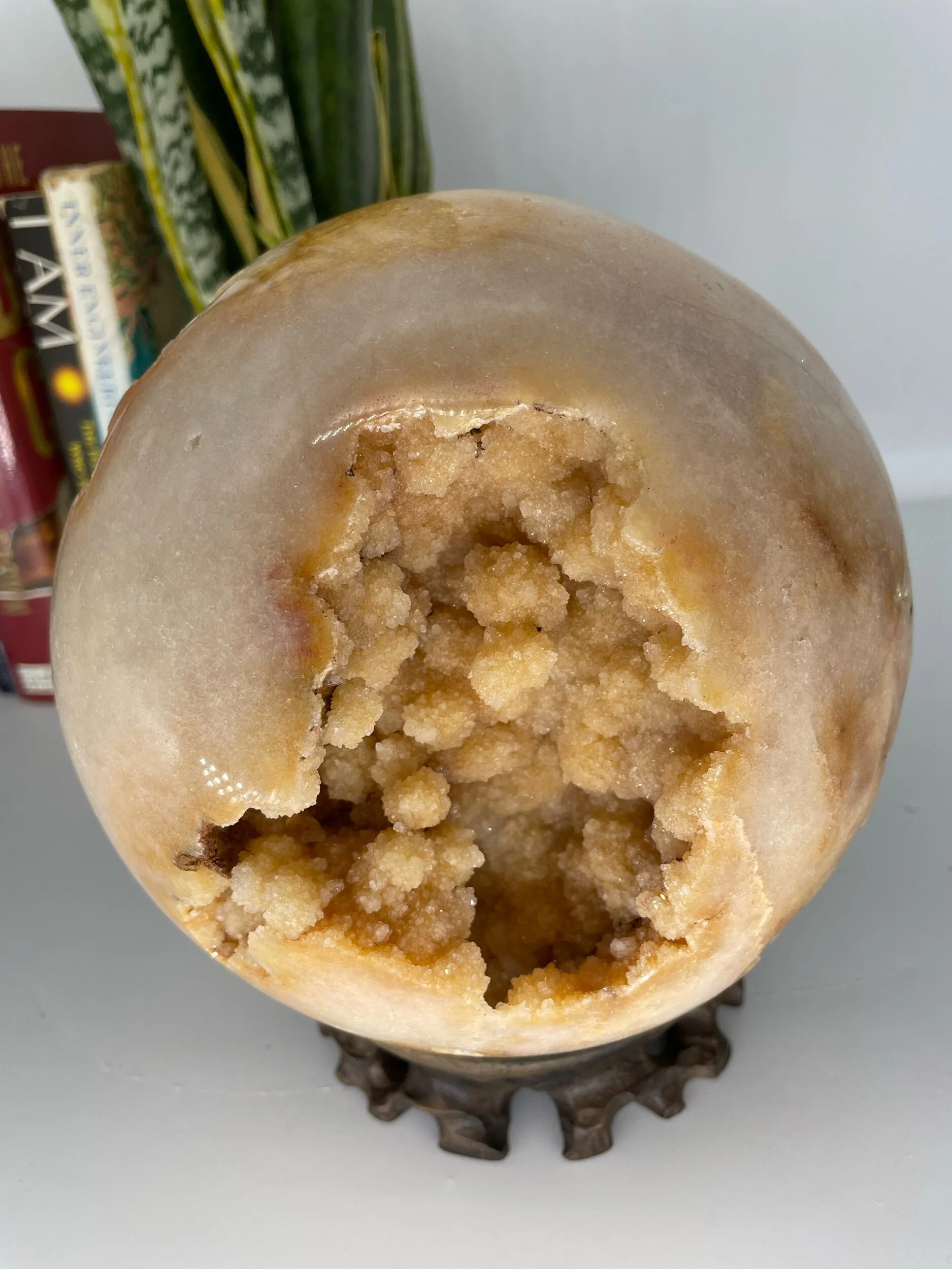 F63768E6-E91C-42DD-839C-9C36CA3BA7D6