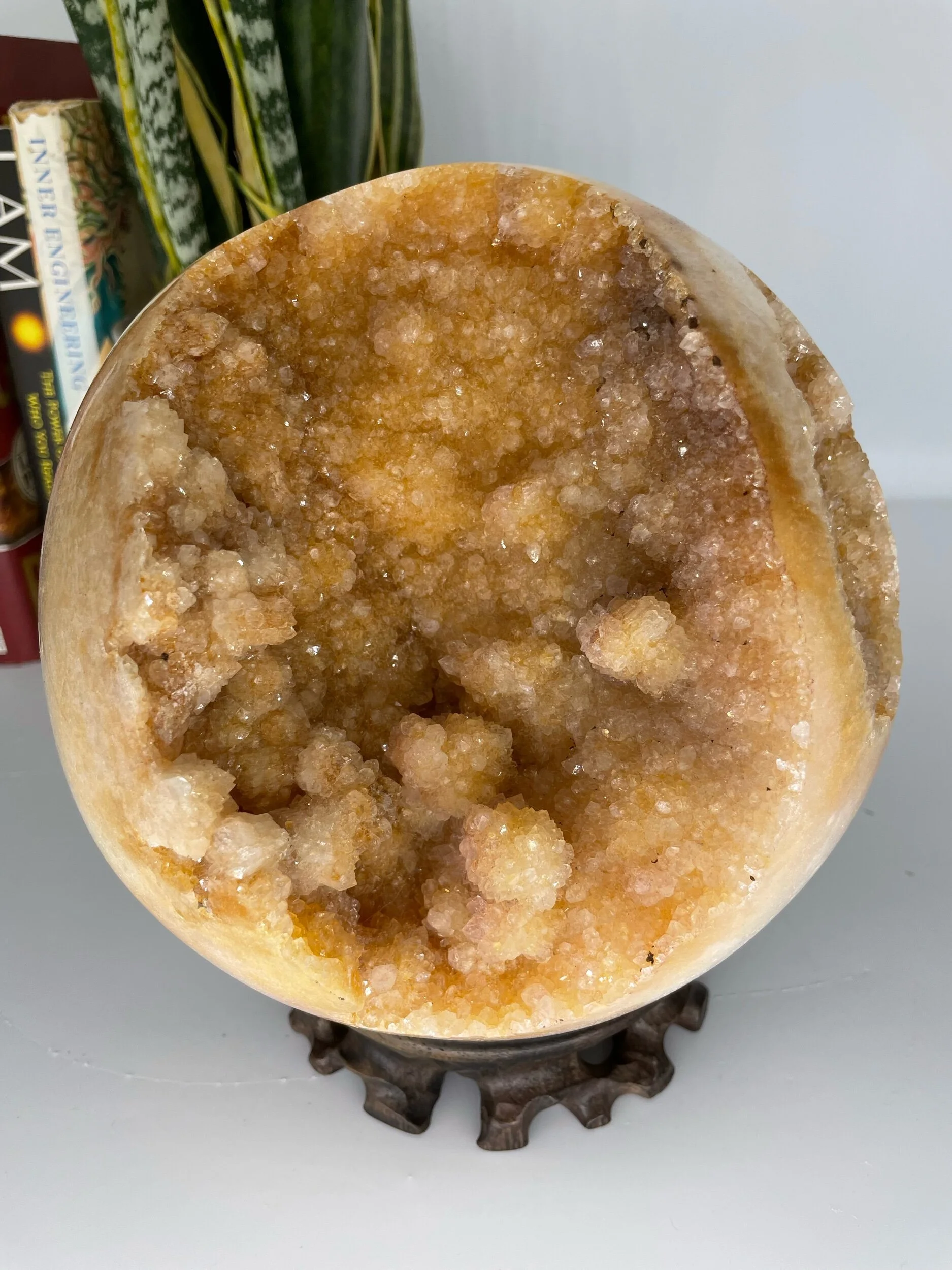 4555FEFF-DFFB-4B11-961C-B07F52D1D465