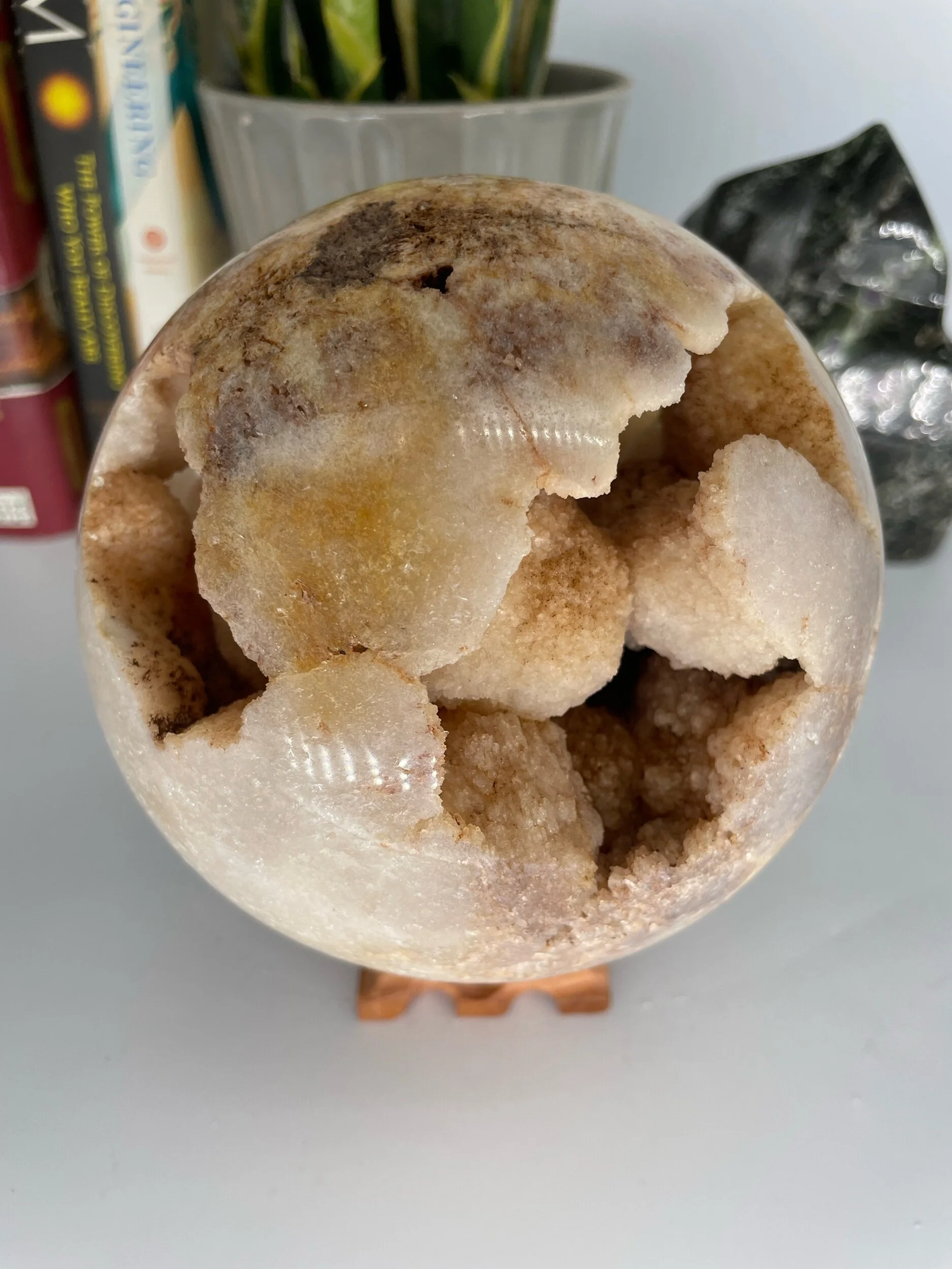 C2C49606-98D6-4D6D-9A05-06038748A70A