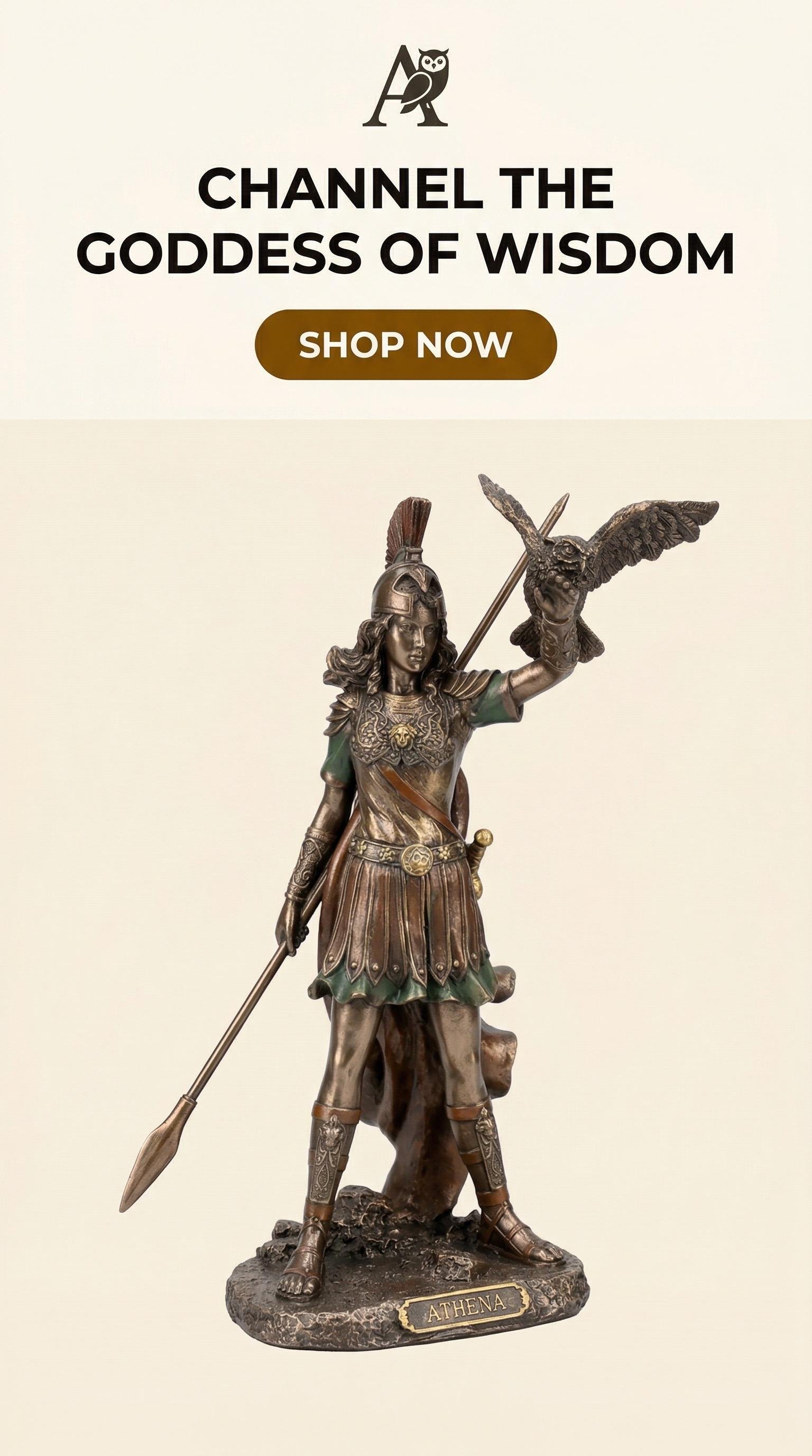 https://i.etsystatic.com/14297145/r/il/868061/7944611536/il_fullxfull.7944611536_hndb.jpg