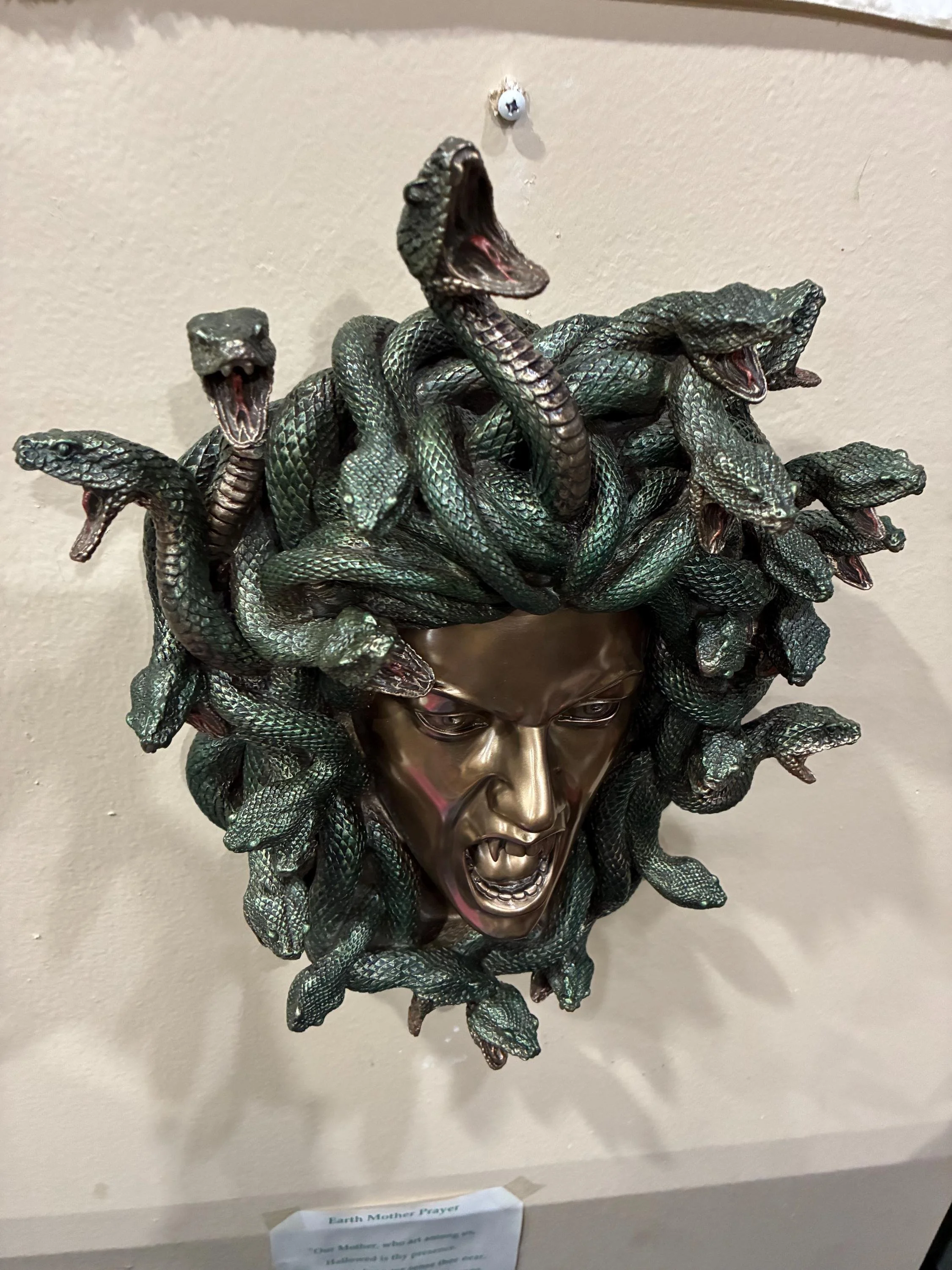 https://i.etsystatic.com/14297145/r/il/165c25/7907940069/il_fullxfull.7907940069_37rz.jpg