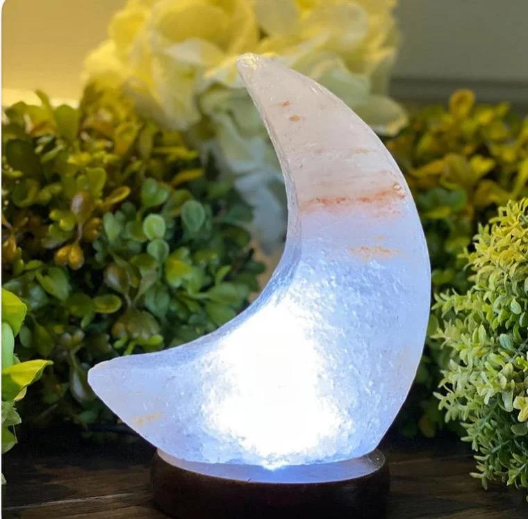 https://i.etsystatic.com/14297145/r/il/995be0/7599568737/il_fullxfull.7599568737_hqyg.jpg