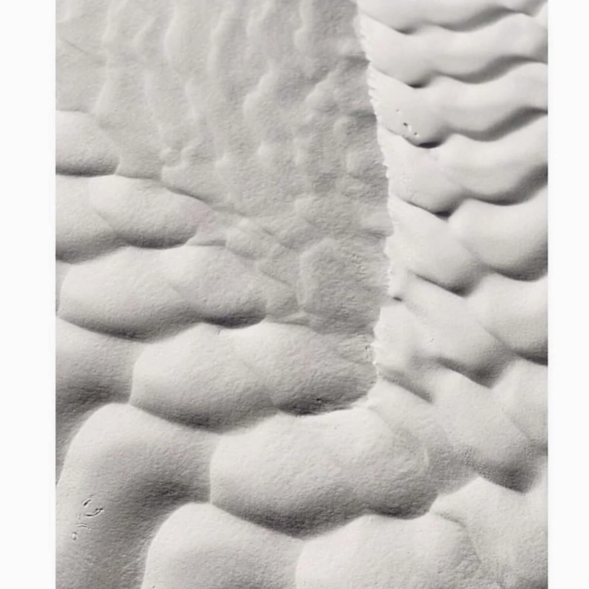 Constant texture inspiration via nature 🌎